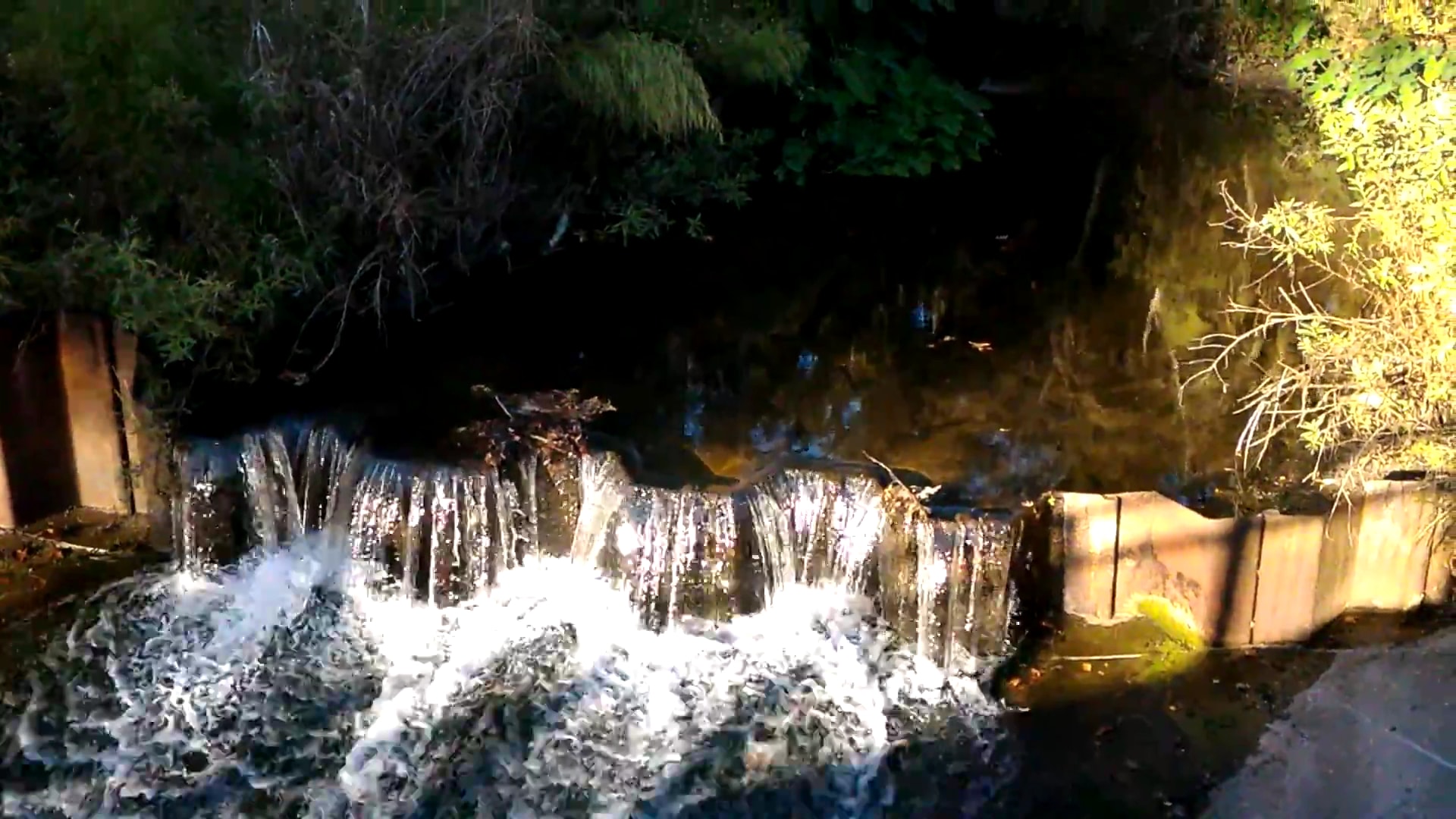 Possum Creek - Gainesville, FL