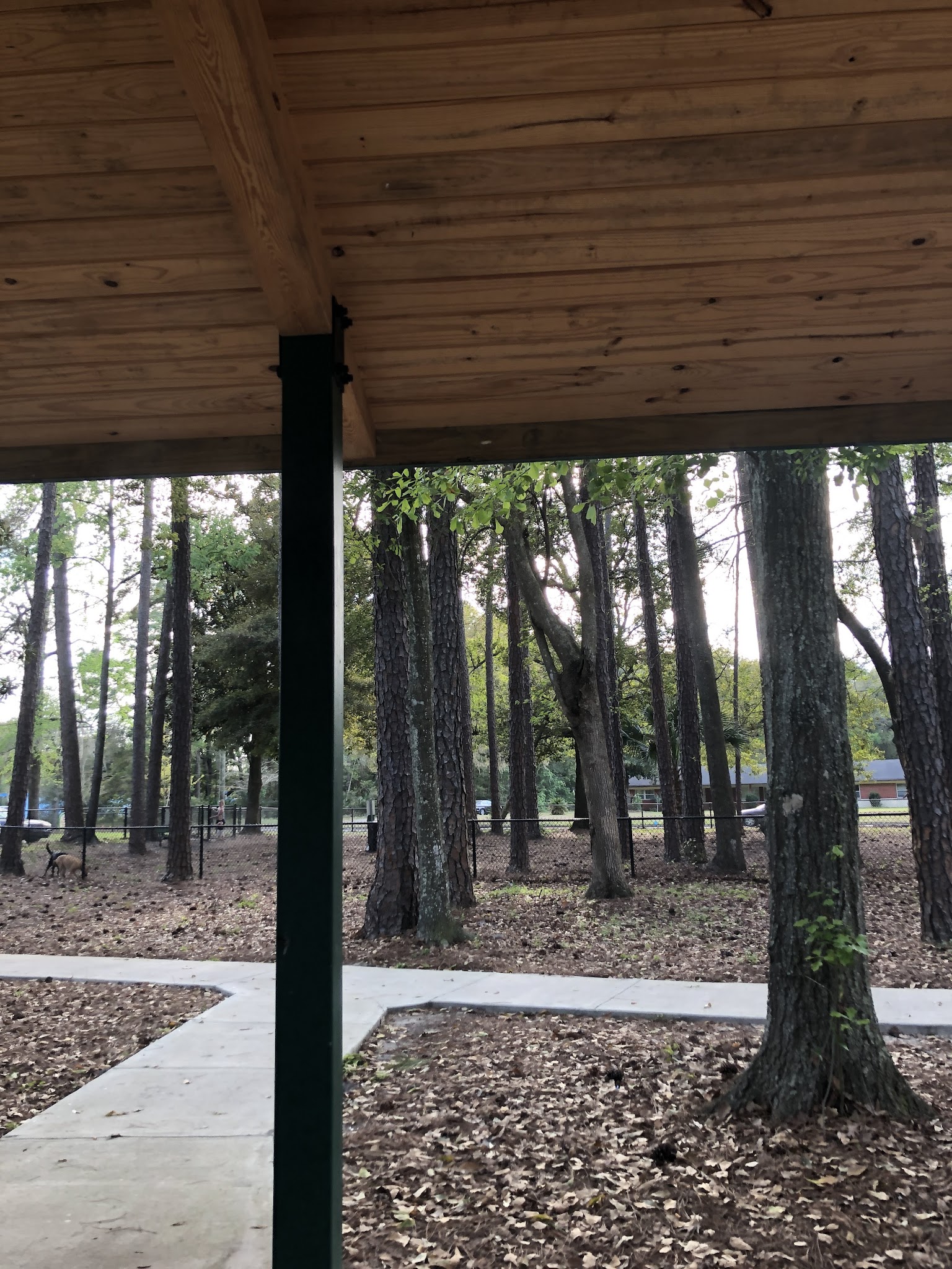 Smokey Bear Park - Gainesville, FL