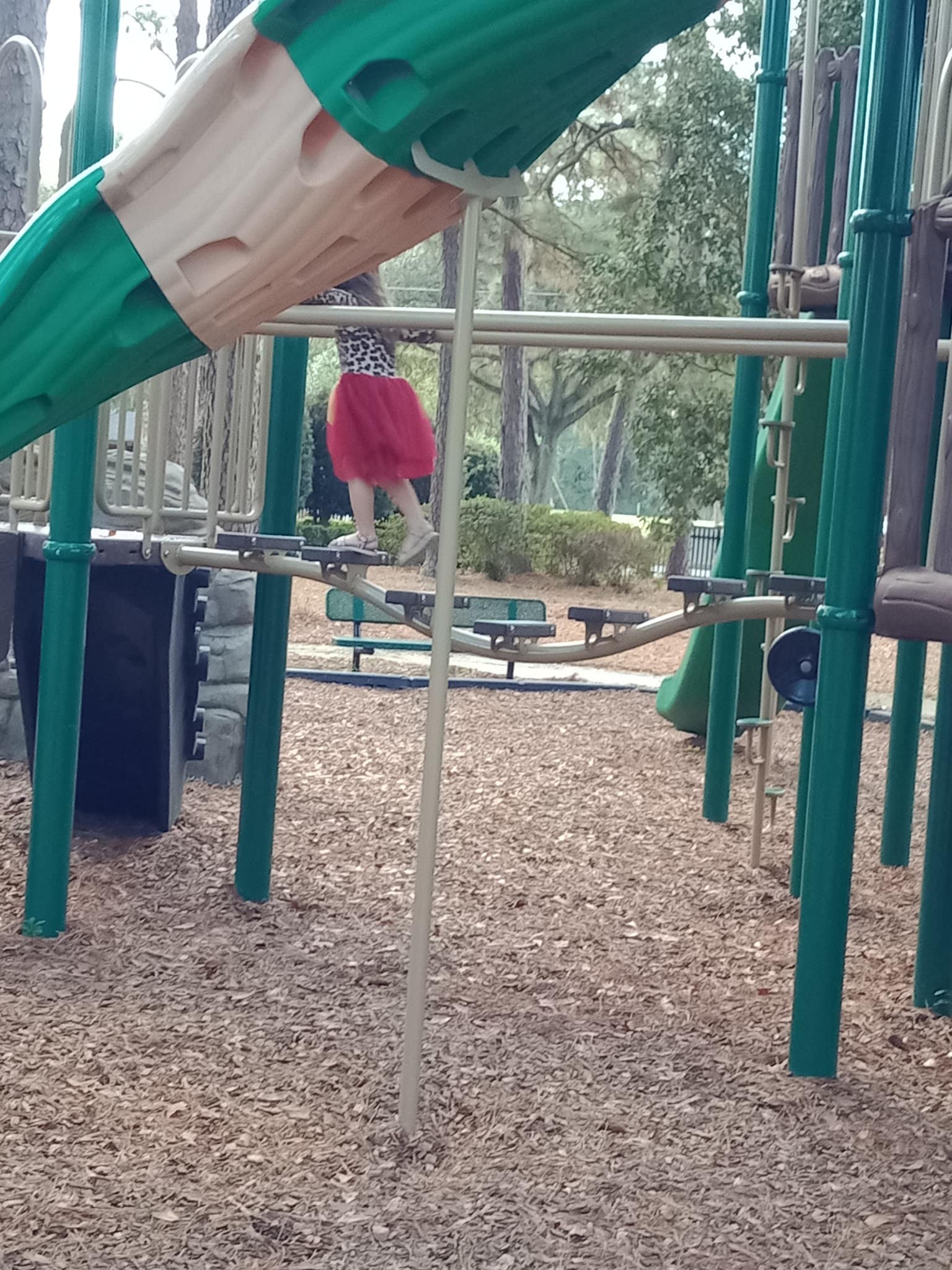 Smokey Bear Park - Gainesville, FL