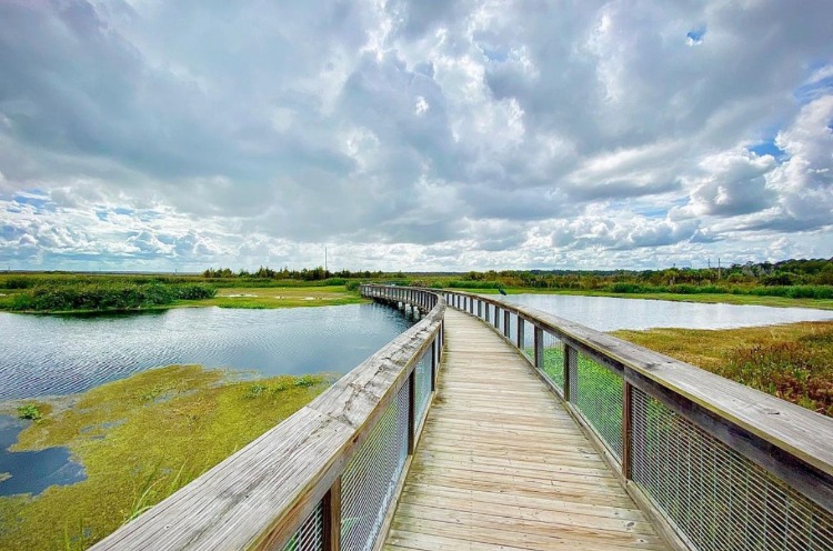 Sweetwater Wetlands Park - Gainesville, FL