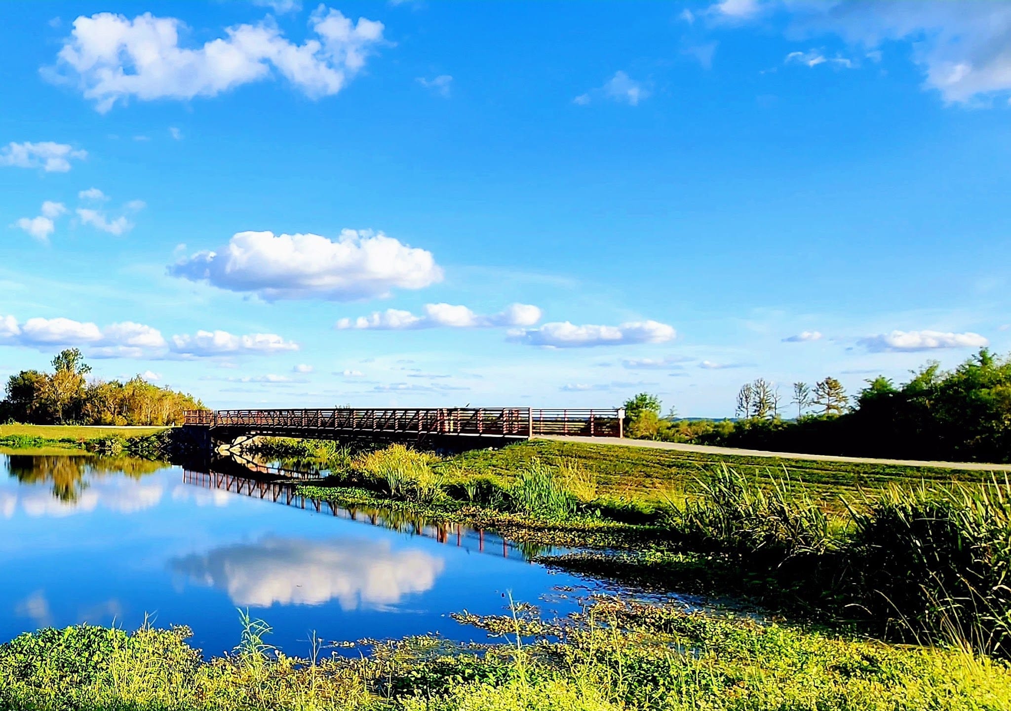 Sweetwater Wetlands Park - Gainesville, FL