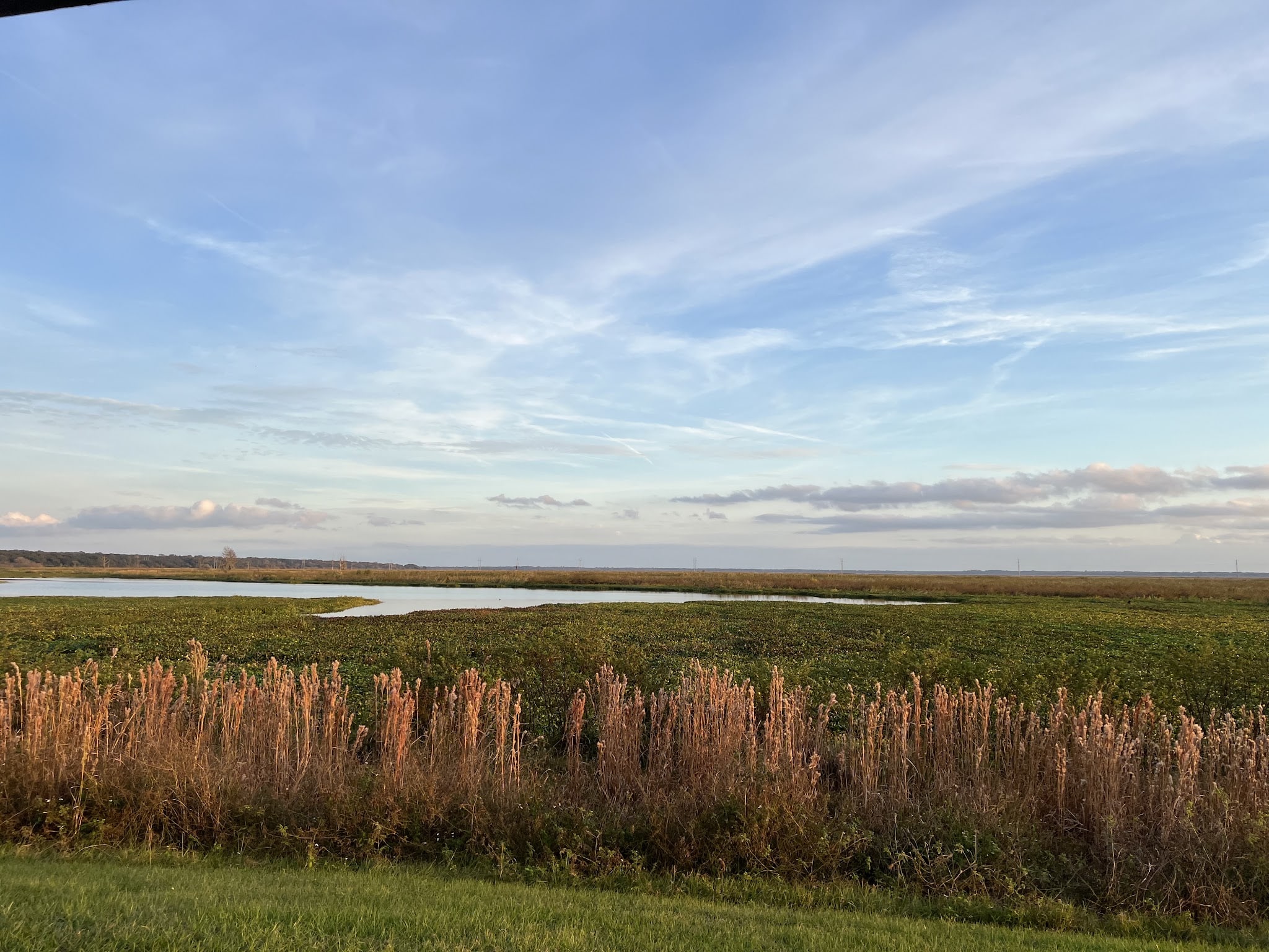 Sweetwater Wetlands Park - Gainesville, FL