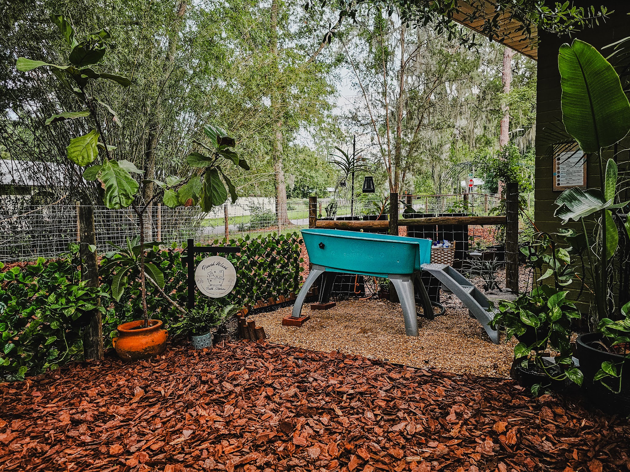 The Zoomie Zone [ BY APPOINTMENT ONLY] - Gainesville, FL