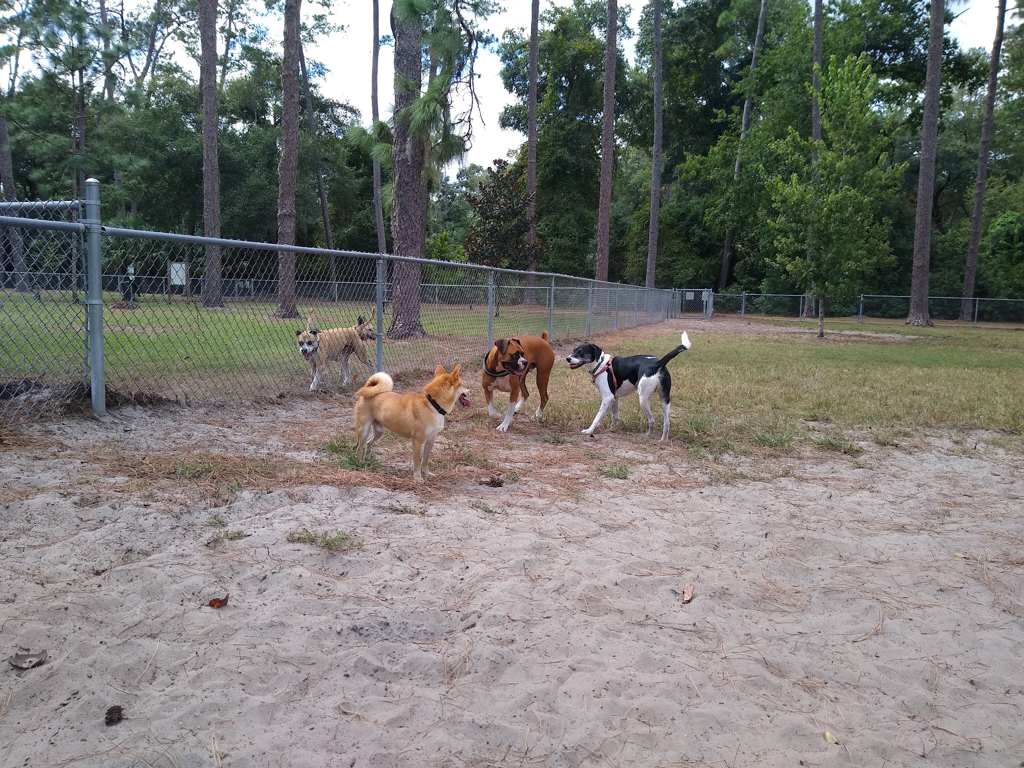 Tom Petty Park - Gainesville, FL