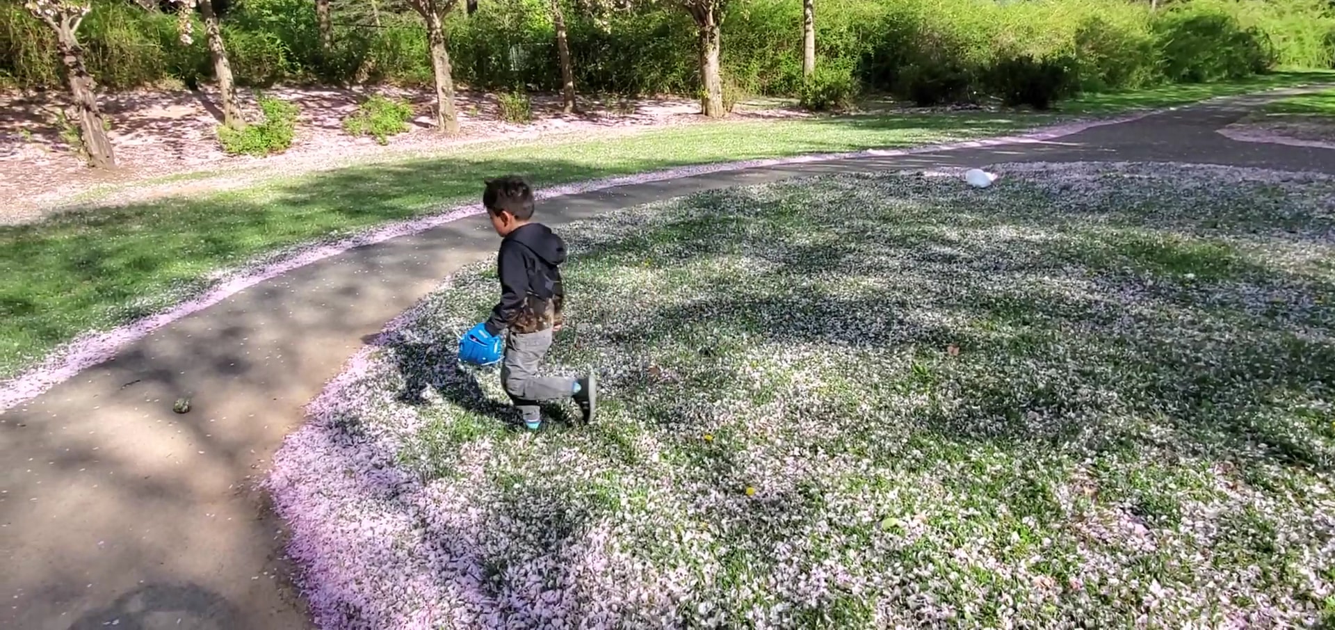 Green Park - Gaithersburg, MD