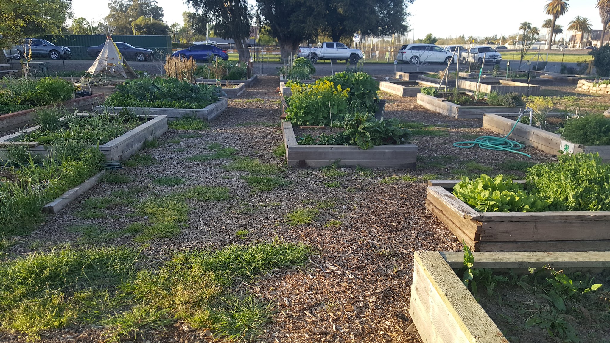 Harvey Park - Galt, CA