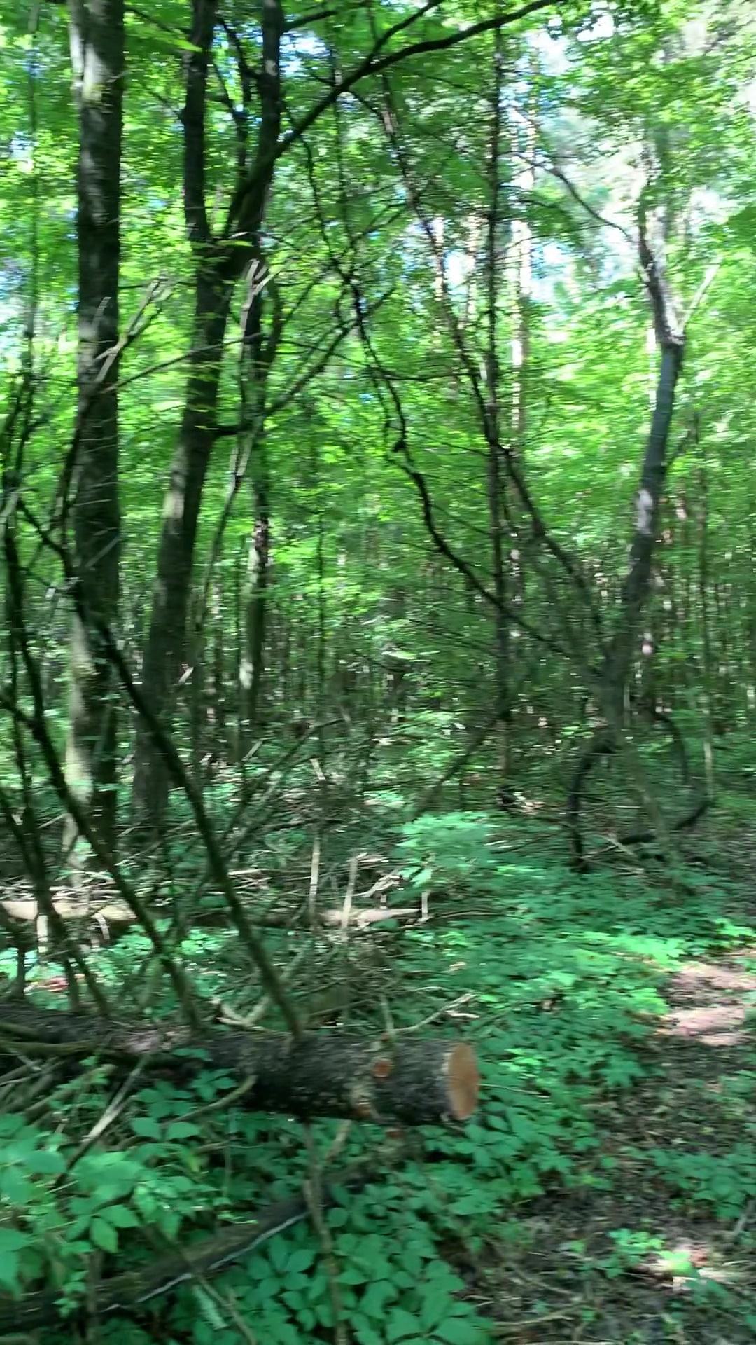 Galway Nature Preserve - Galway, NY