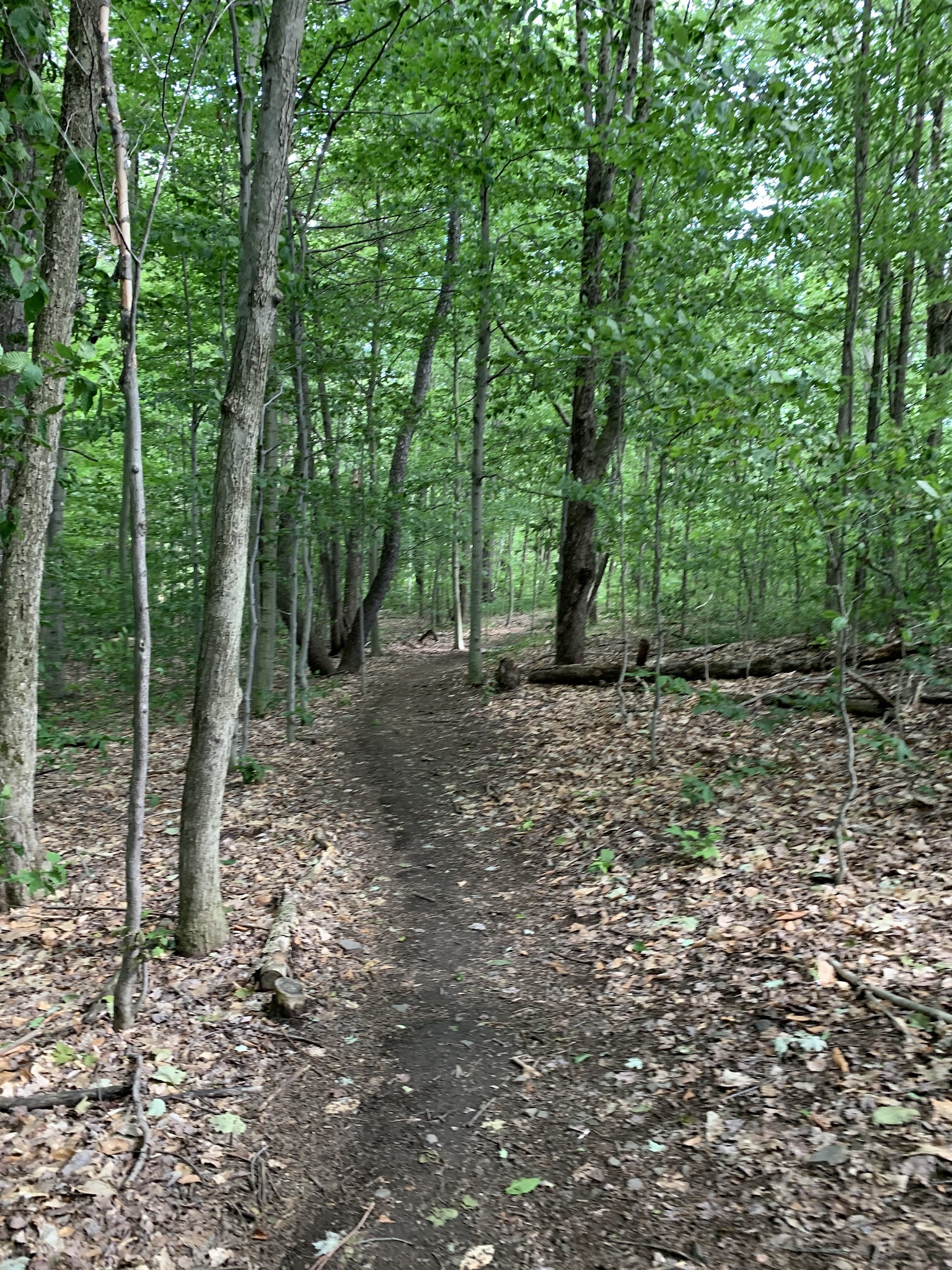 Galway Nature Preserve - Galway, NY