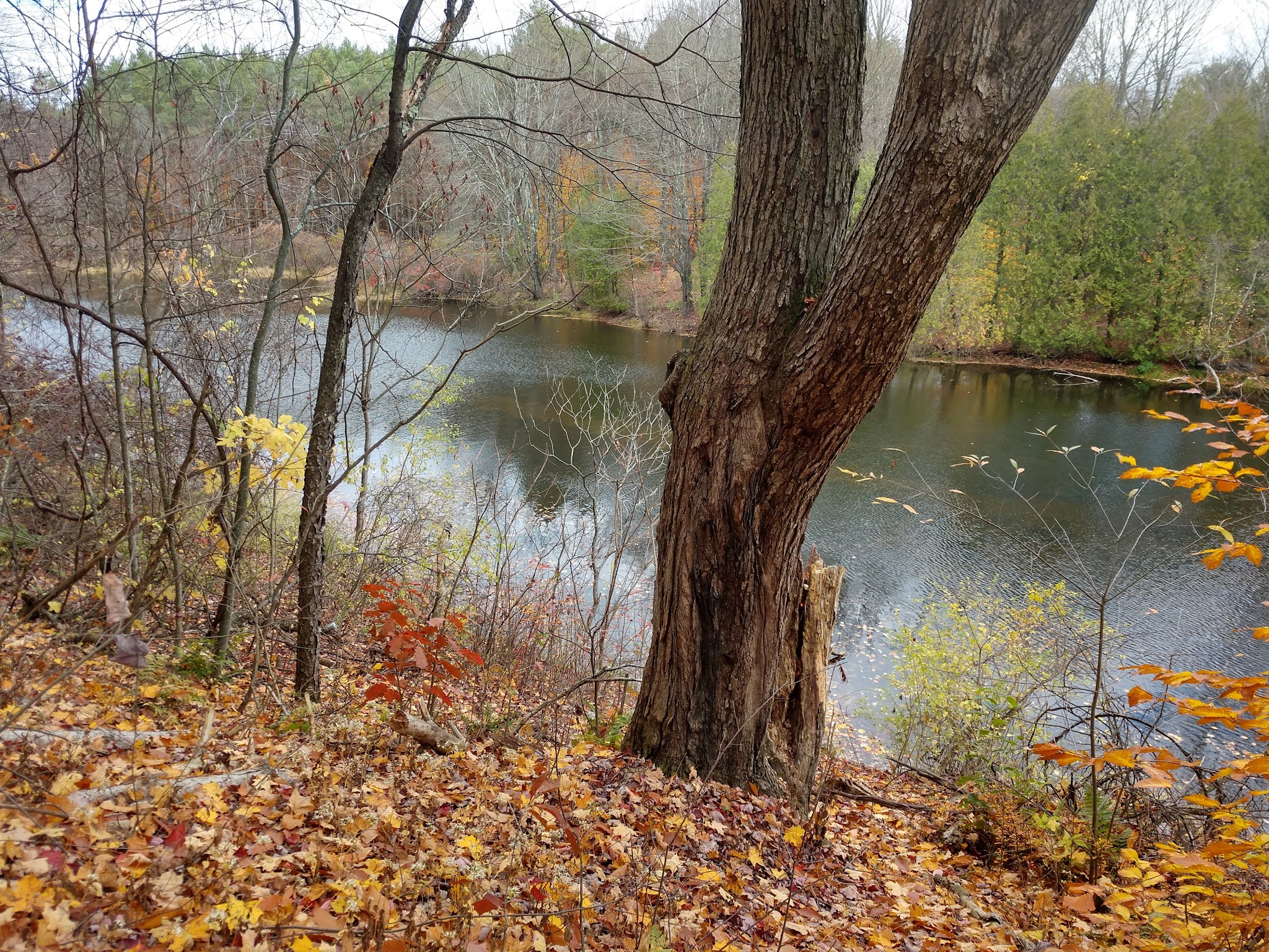 Galway Nature Preserve - Galway, NY