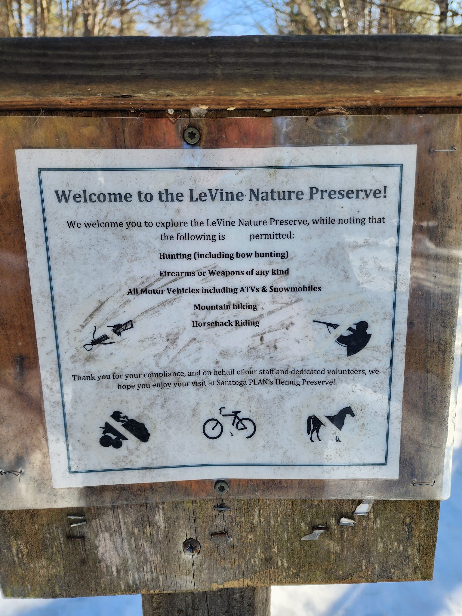 LeVine Nature Preserve - Galway, NY