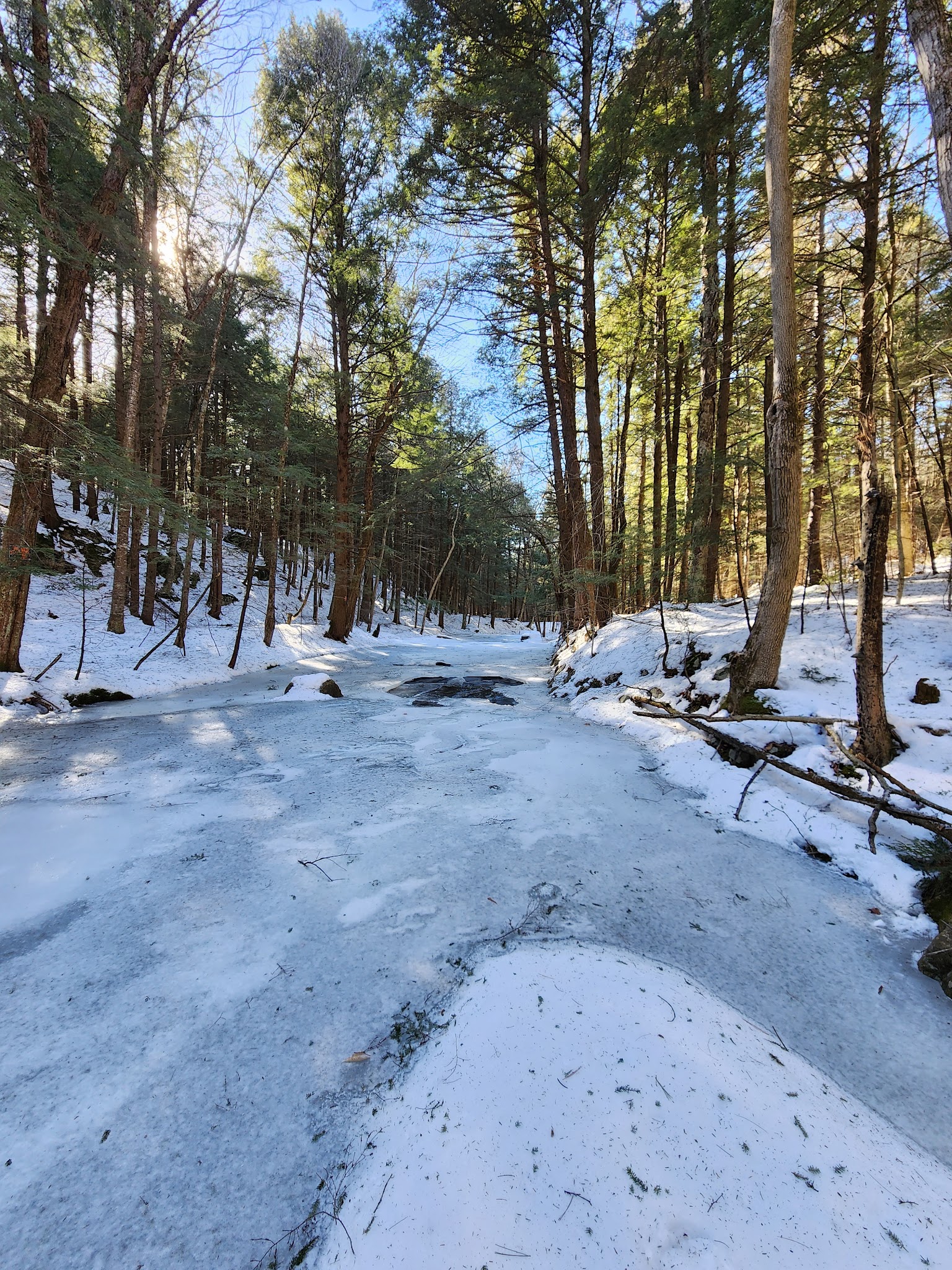 LeVine Nature Preserve - Galway, NY