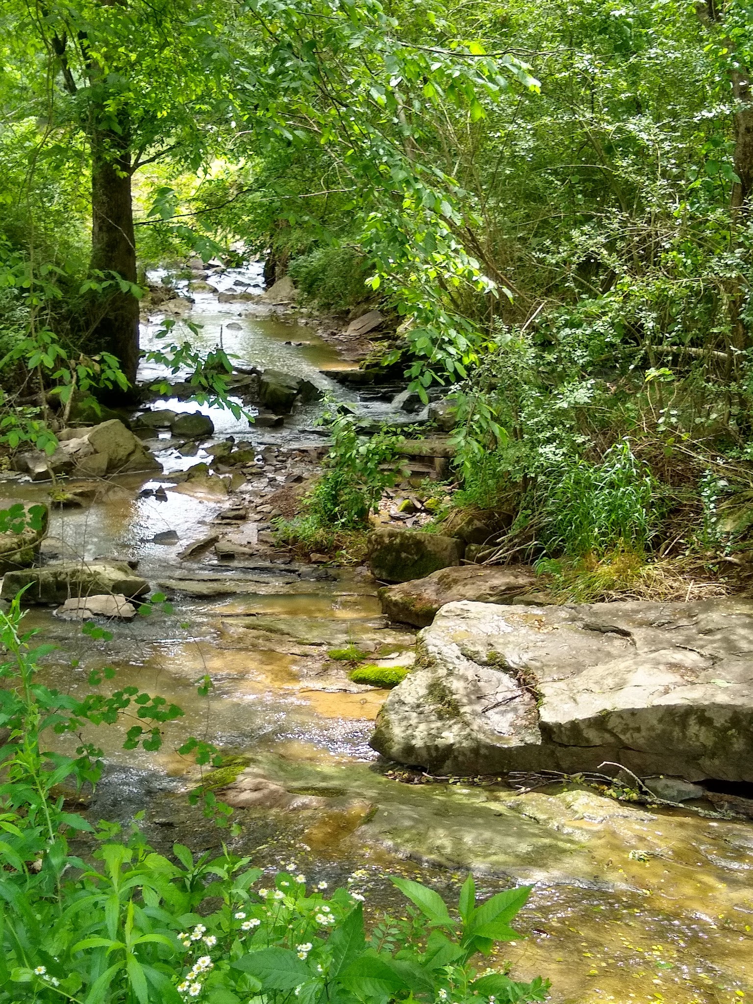Garden City River Park - Garden City, AL