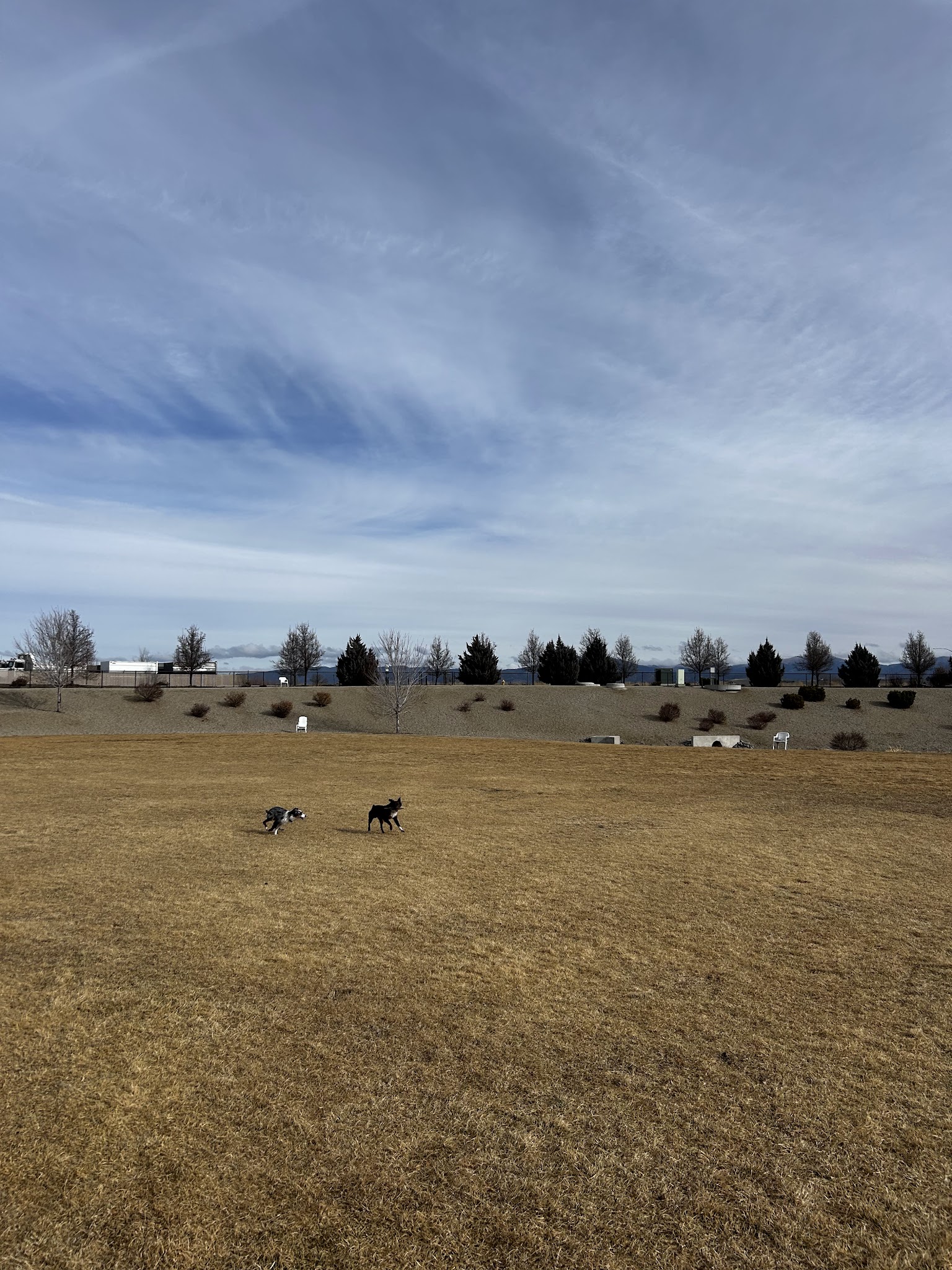 K9 Korral Dog Park - Gardnerville, NV