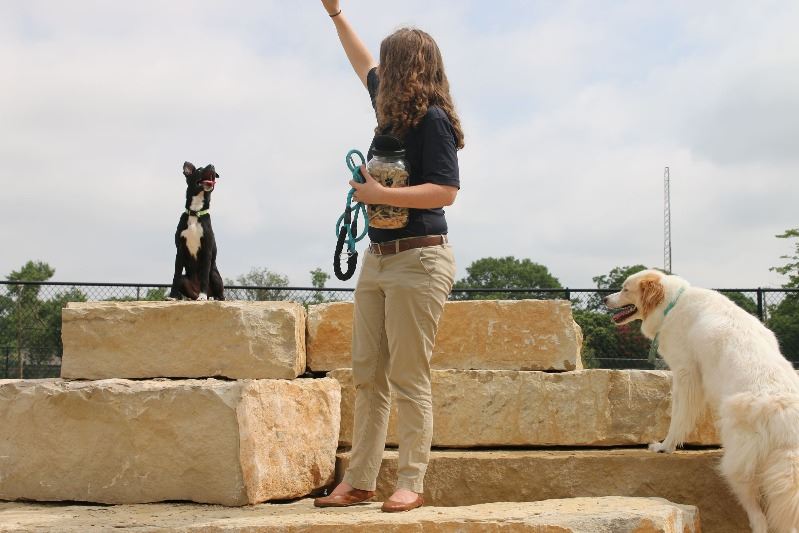 Central Dog Park - Garland, TX