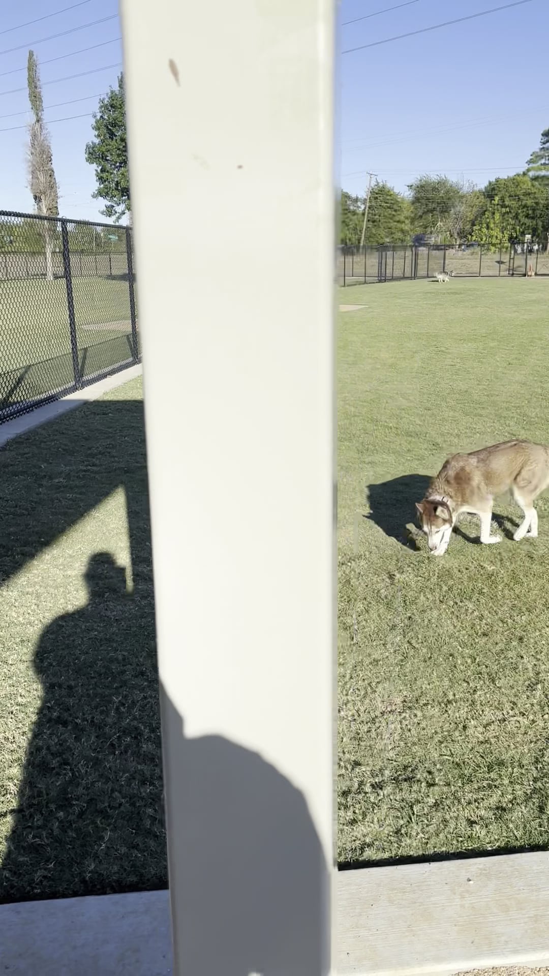 Central Dog Park - Garland, TX