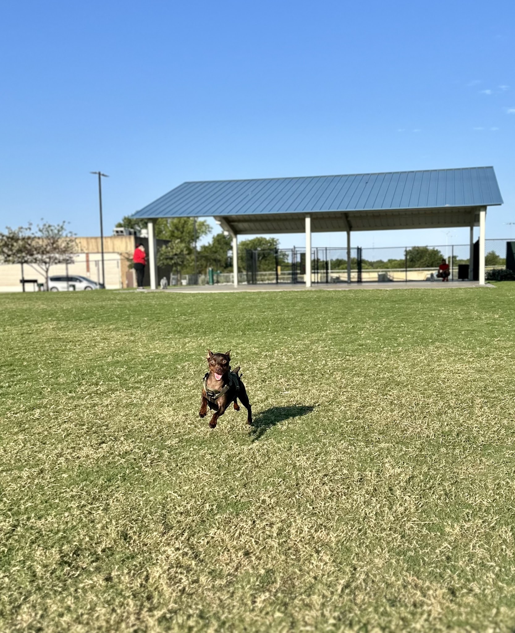Garland Dog Park - Garland, TX