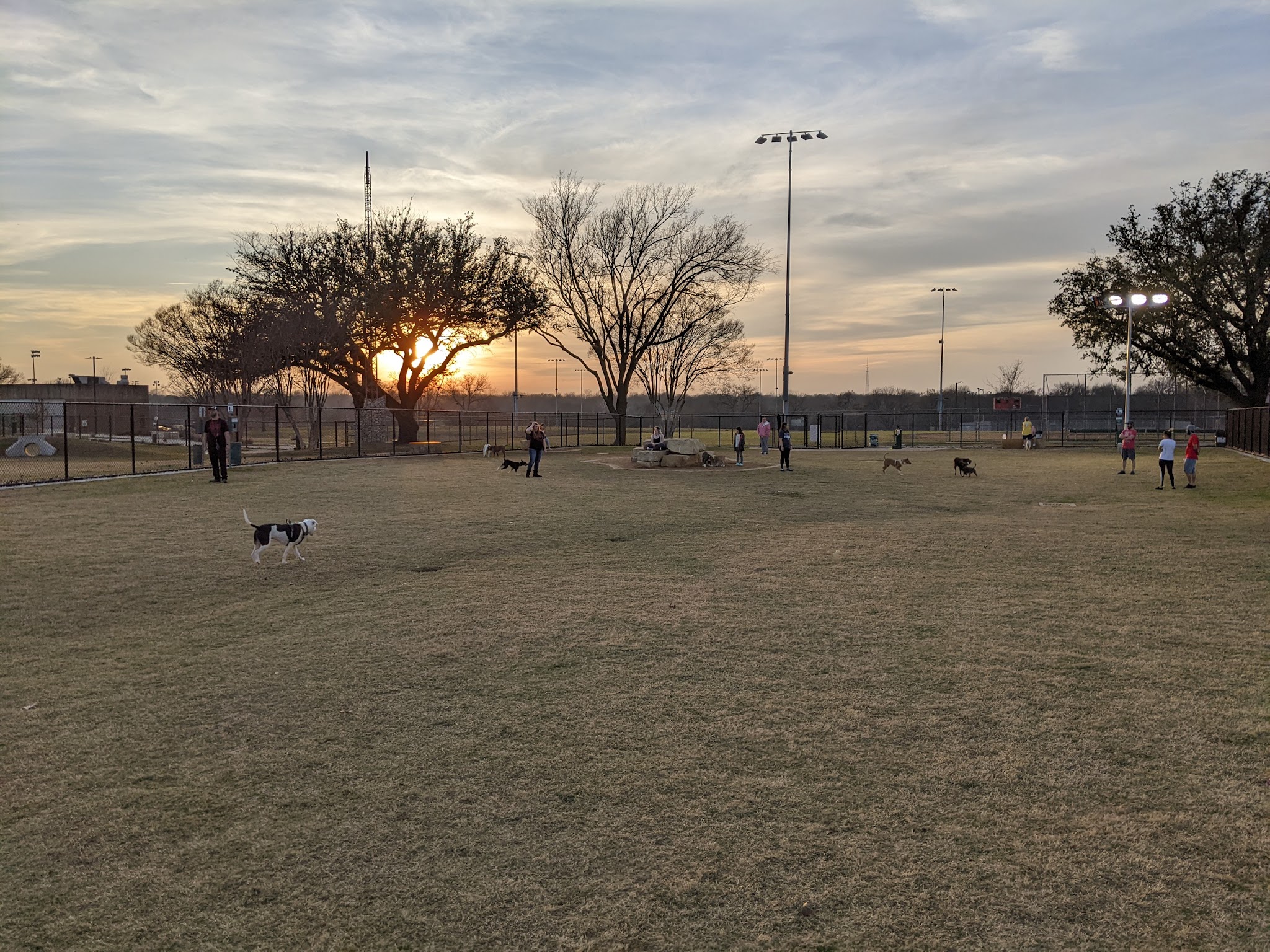 Garland Dog Park - Garland, TX
