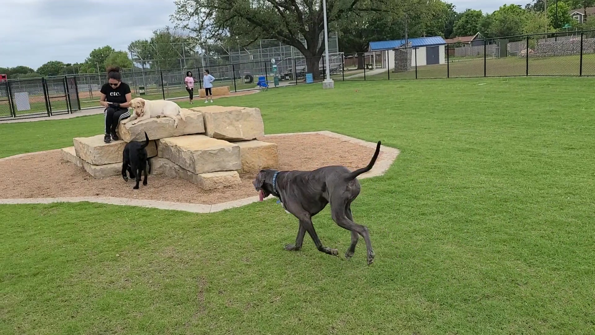 Garland Dog Park - Garland, TX