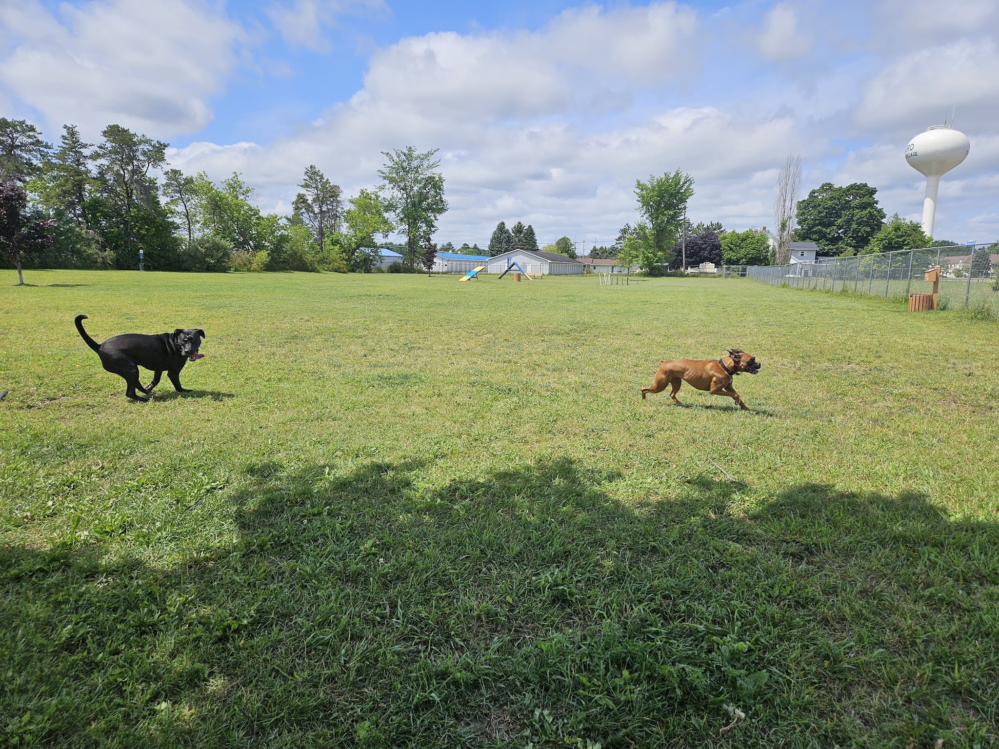 Otsego County Dog Park - Gaylord, MI