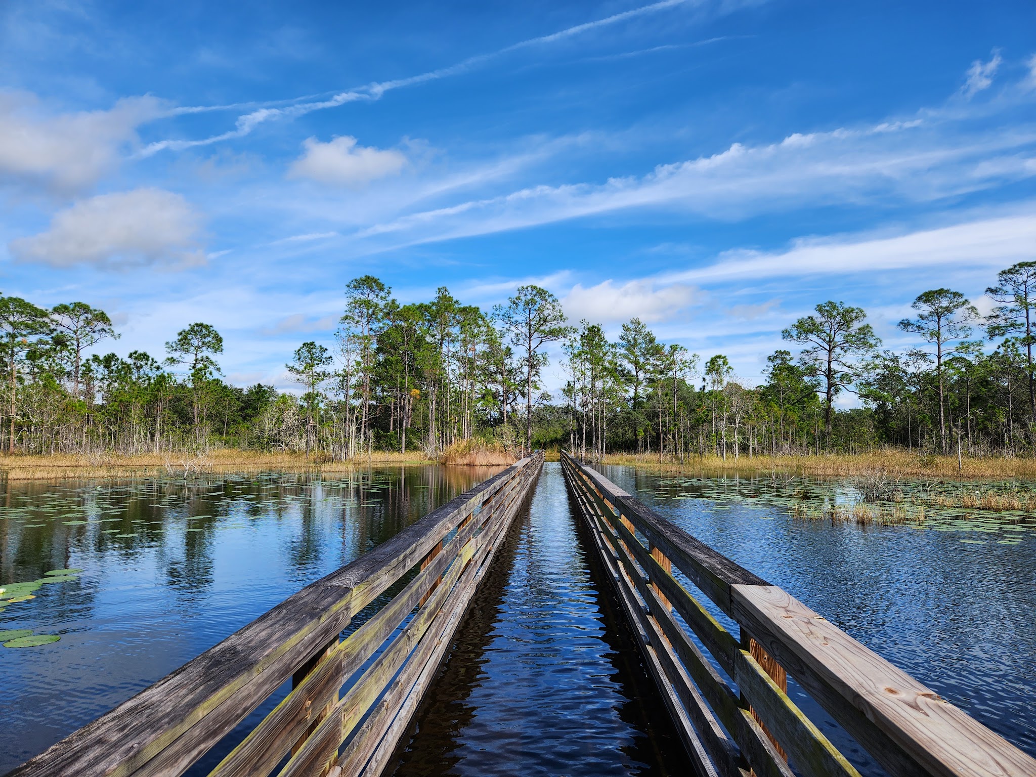 Geneva Wilderness Area - Geneva, FL