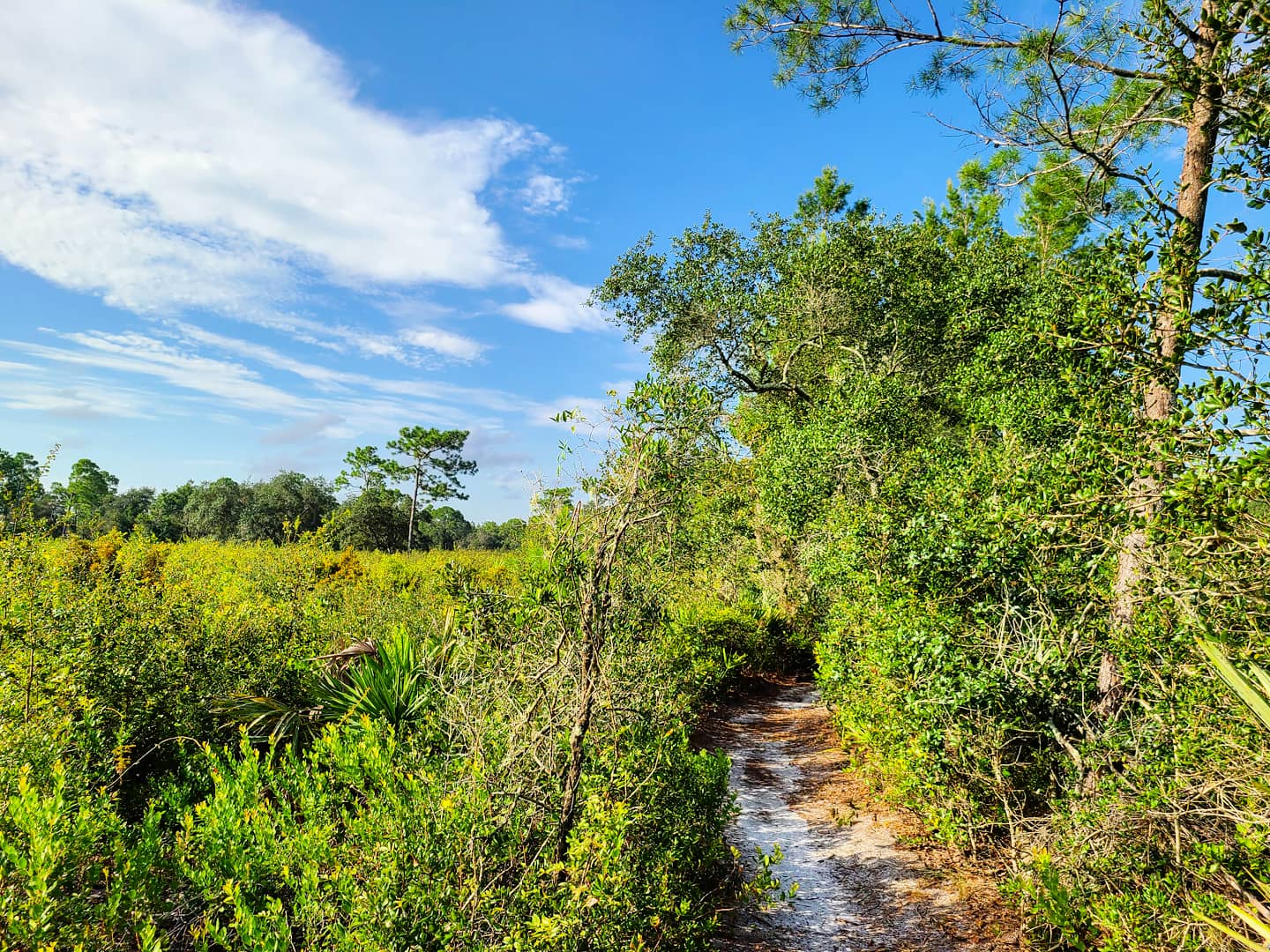 Geneva Wilderness Area - Geneva, FL