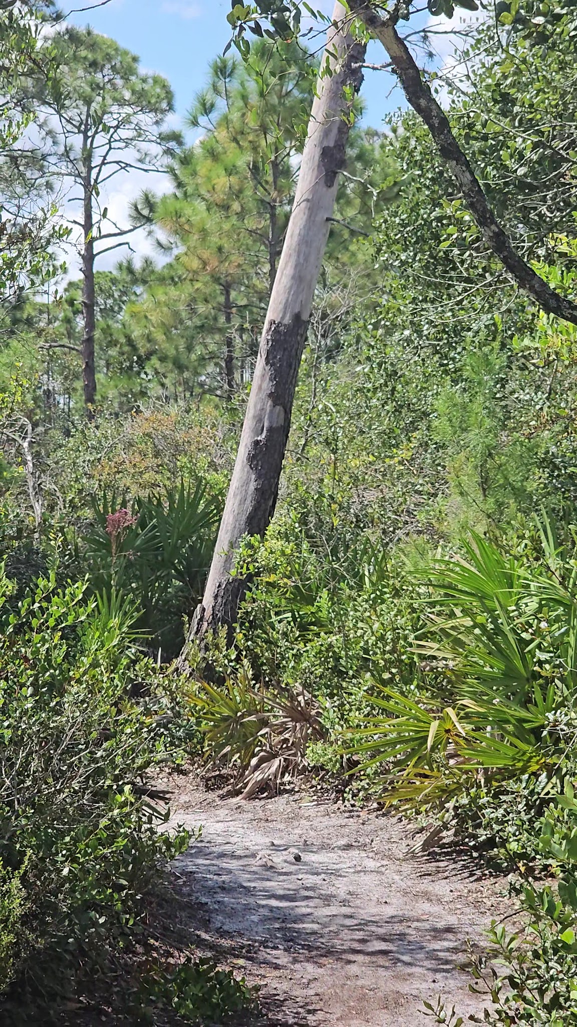 Geneva Wilderness Area Trailhead - Geneva, FL