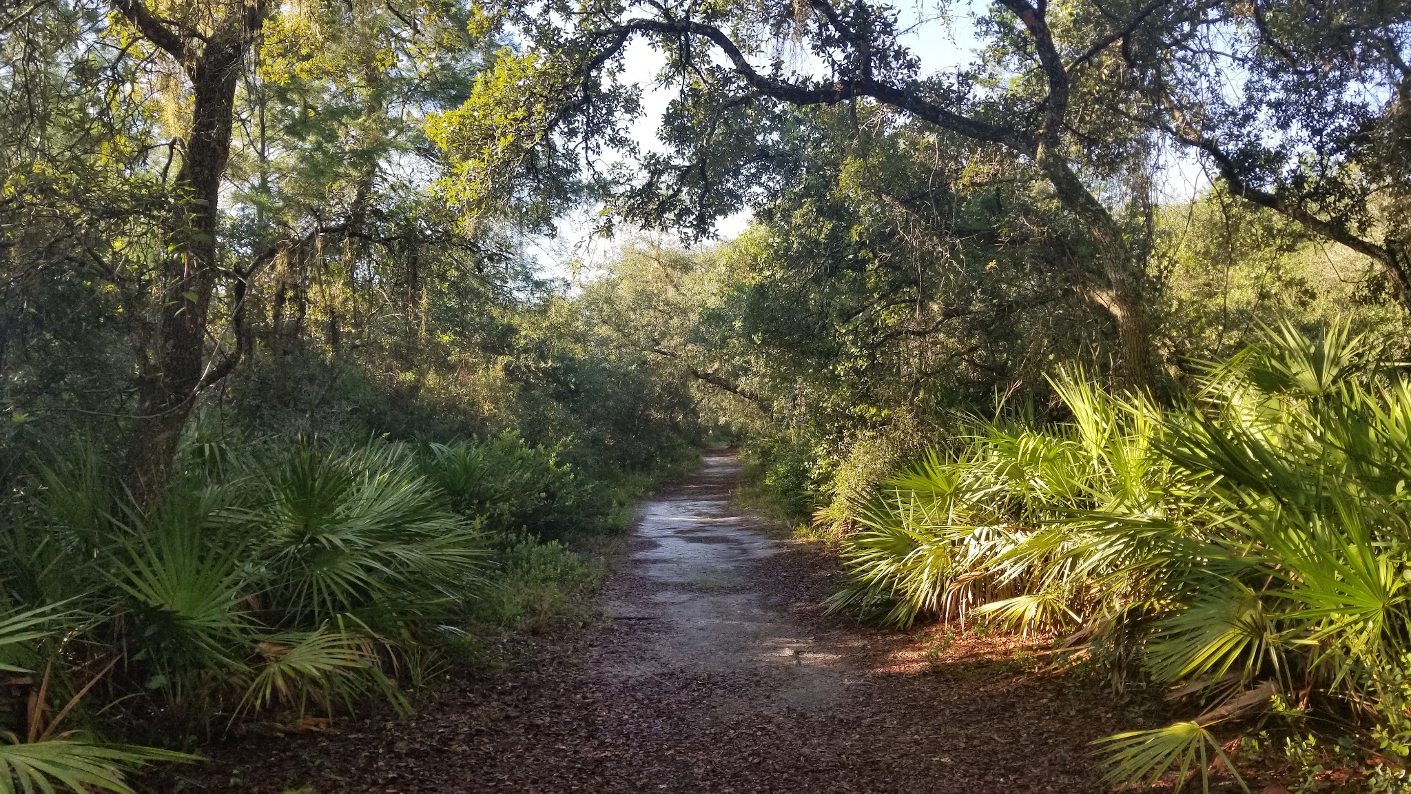 Geneva Wilderness Area Trailhead - Geneva, FL