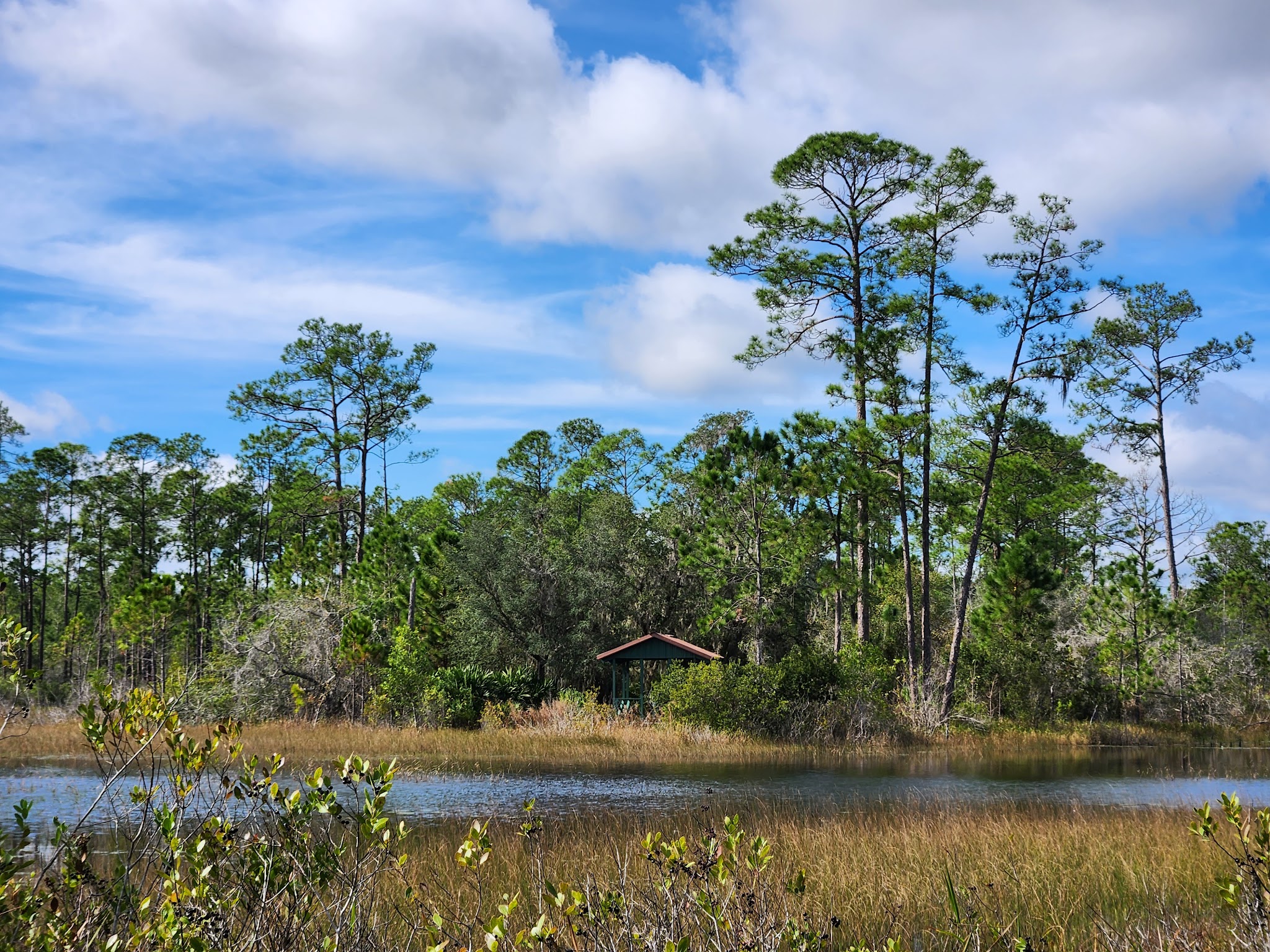 Geneva Wilderness Area - Geneva, FL
