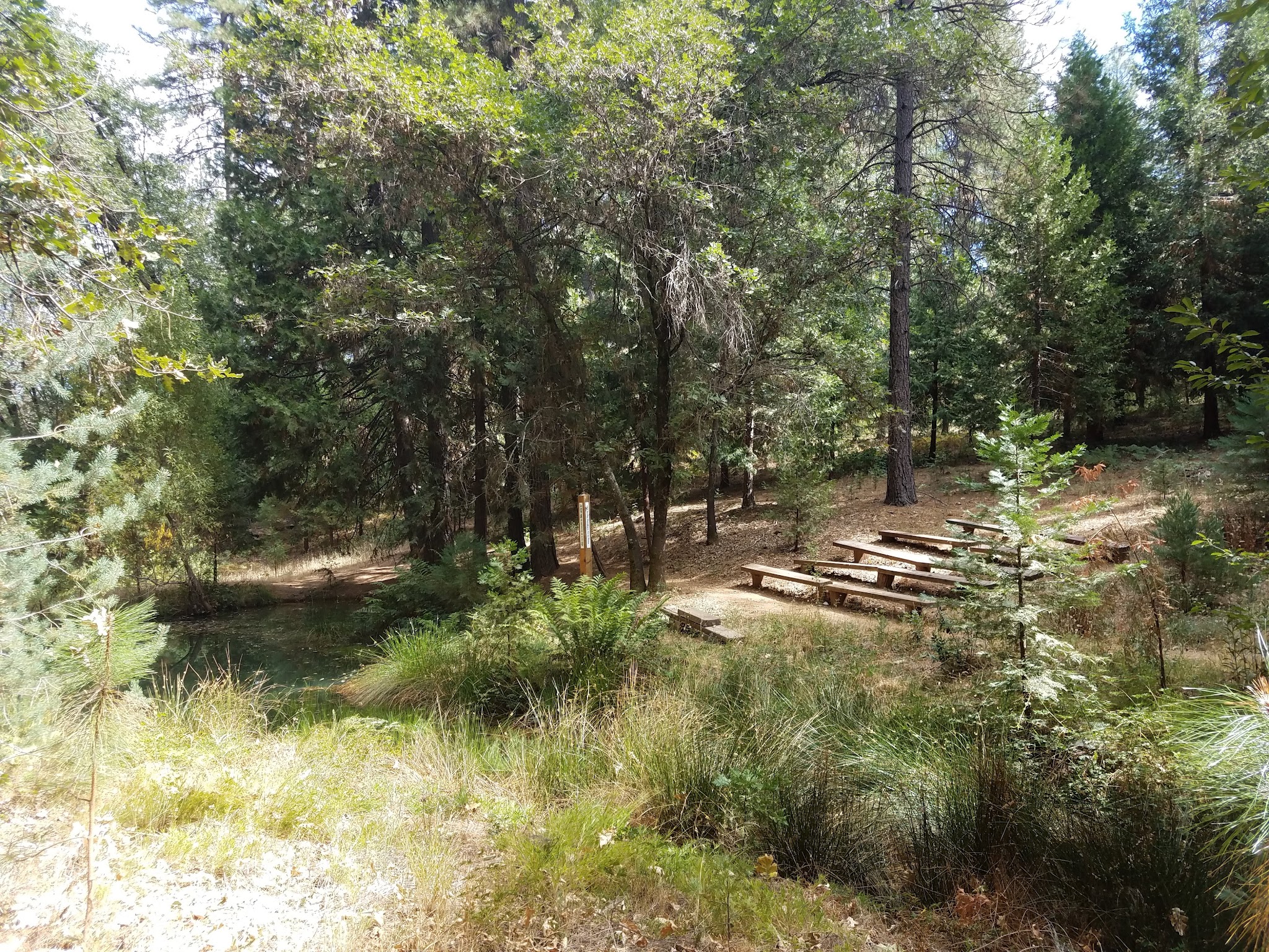 Georgetown Nature Area - Georgetown, CA