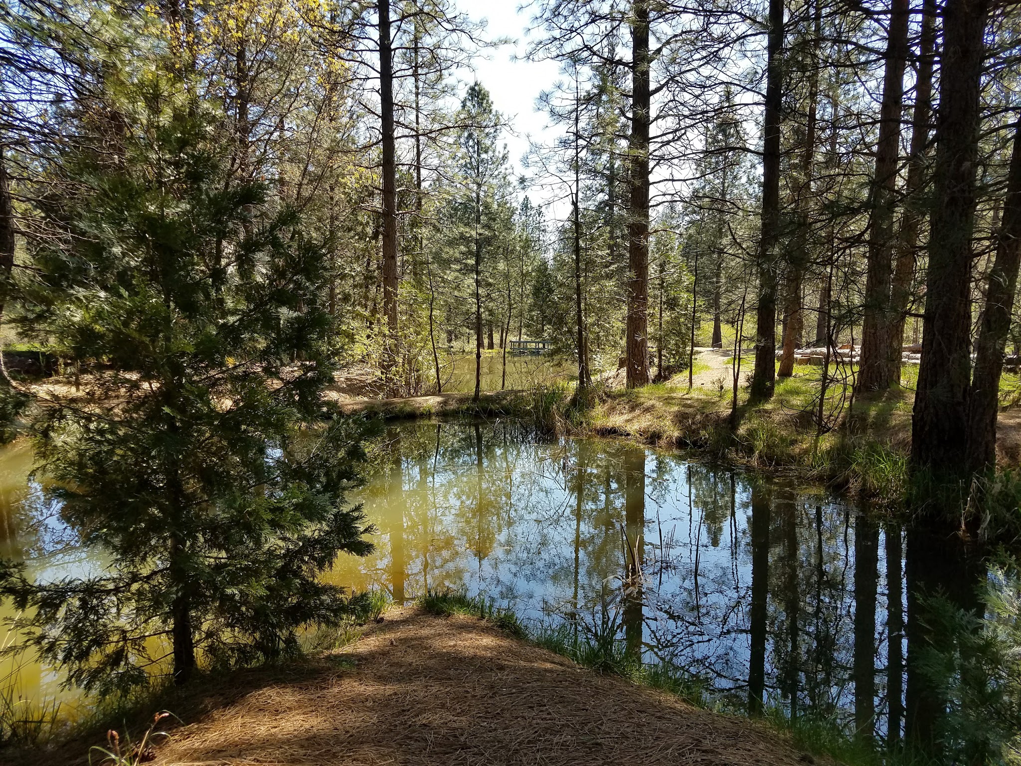 Georgetown Nature Area - Georgetown, CA