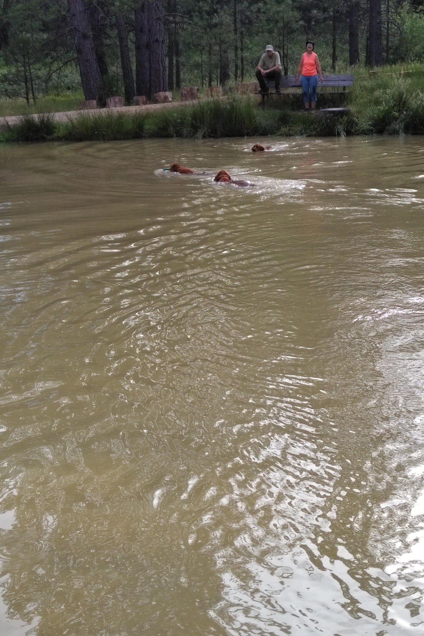 Georgetown Nature Area - Georgetown, CA