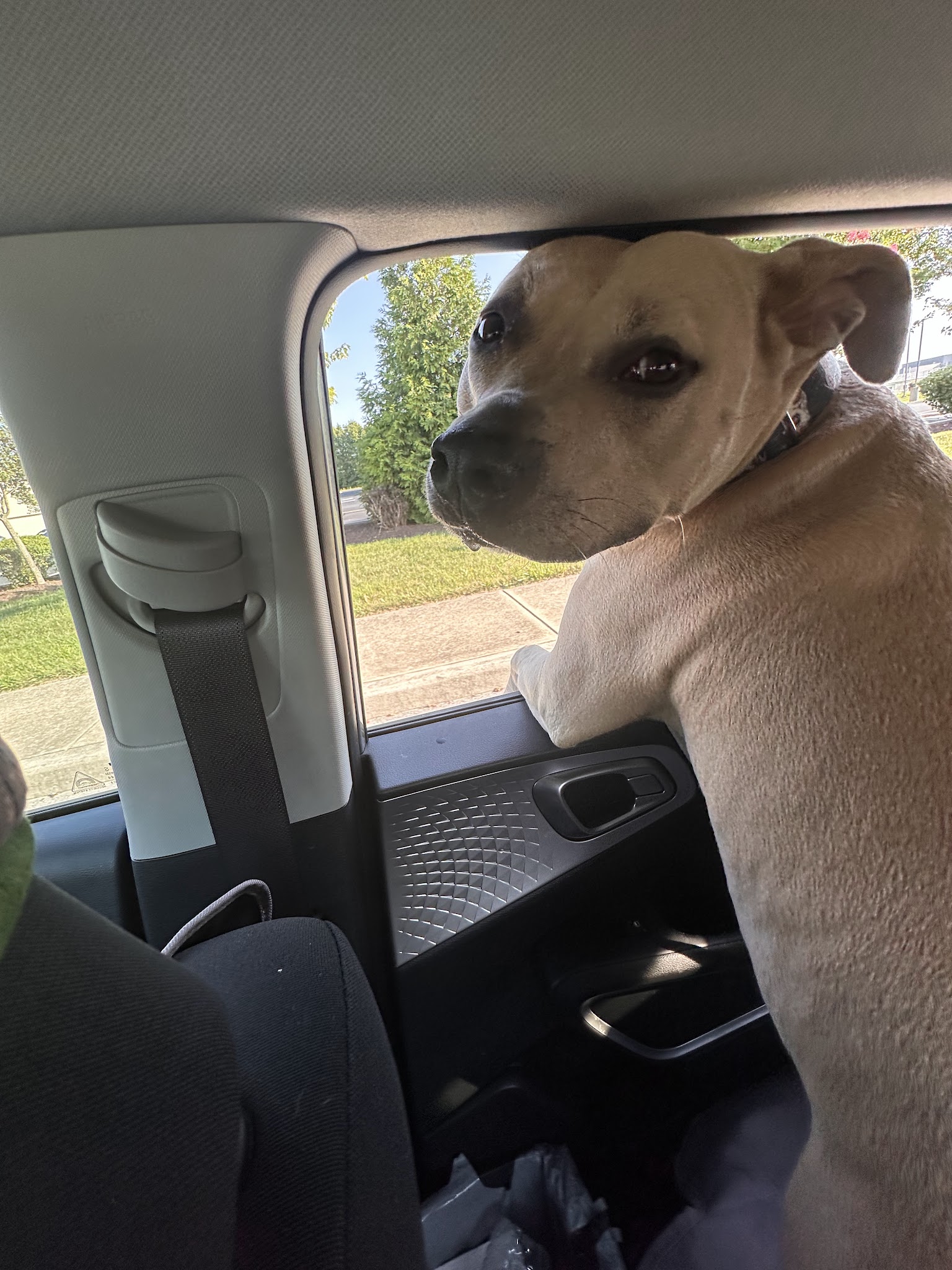 Yarn and Bone Pet Supply & Grooming Georgetown - Georgetown, DE