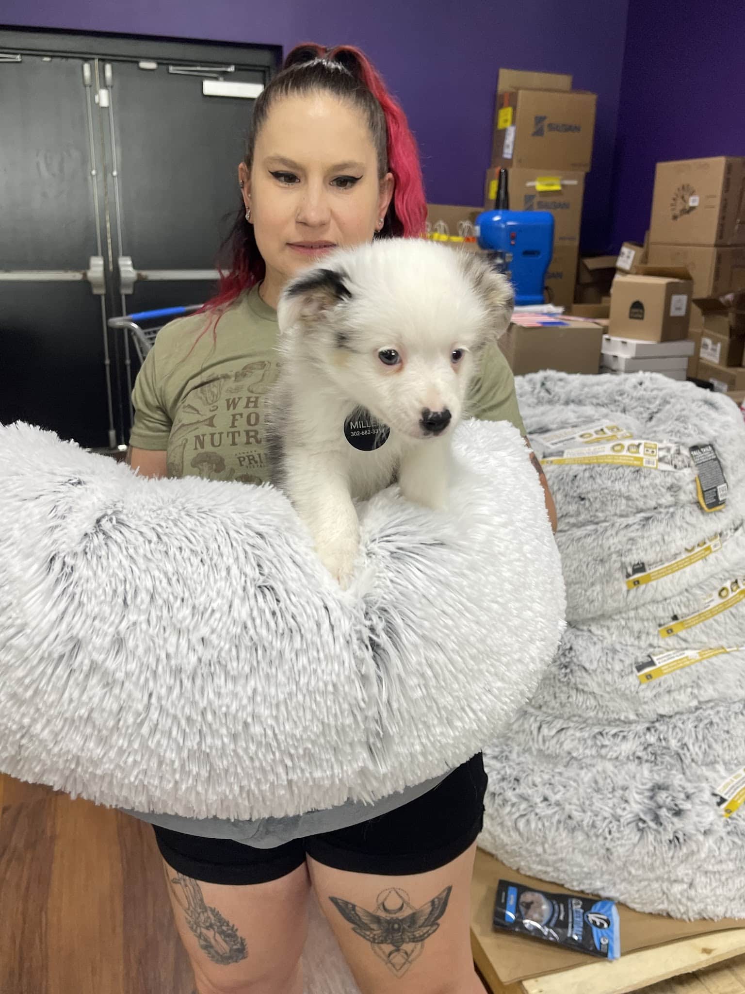 Yarn and Bone Pet Supply & Grooming Georgetown - Georgetown, DE