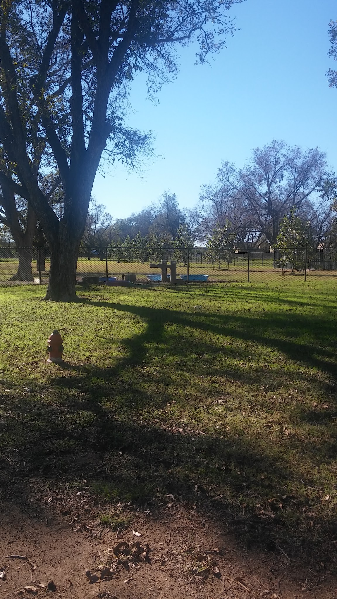 Bark Park - Georgetown, TX