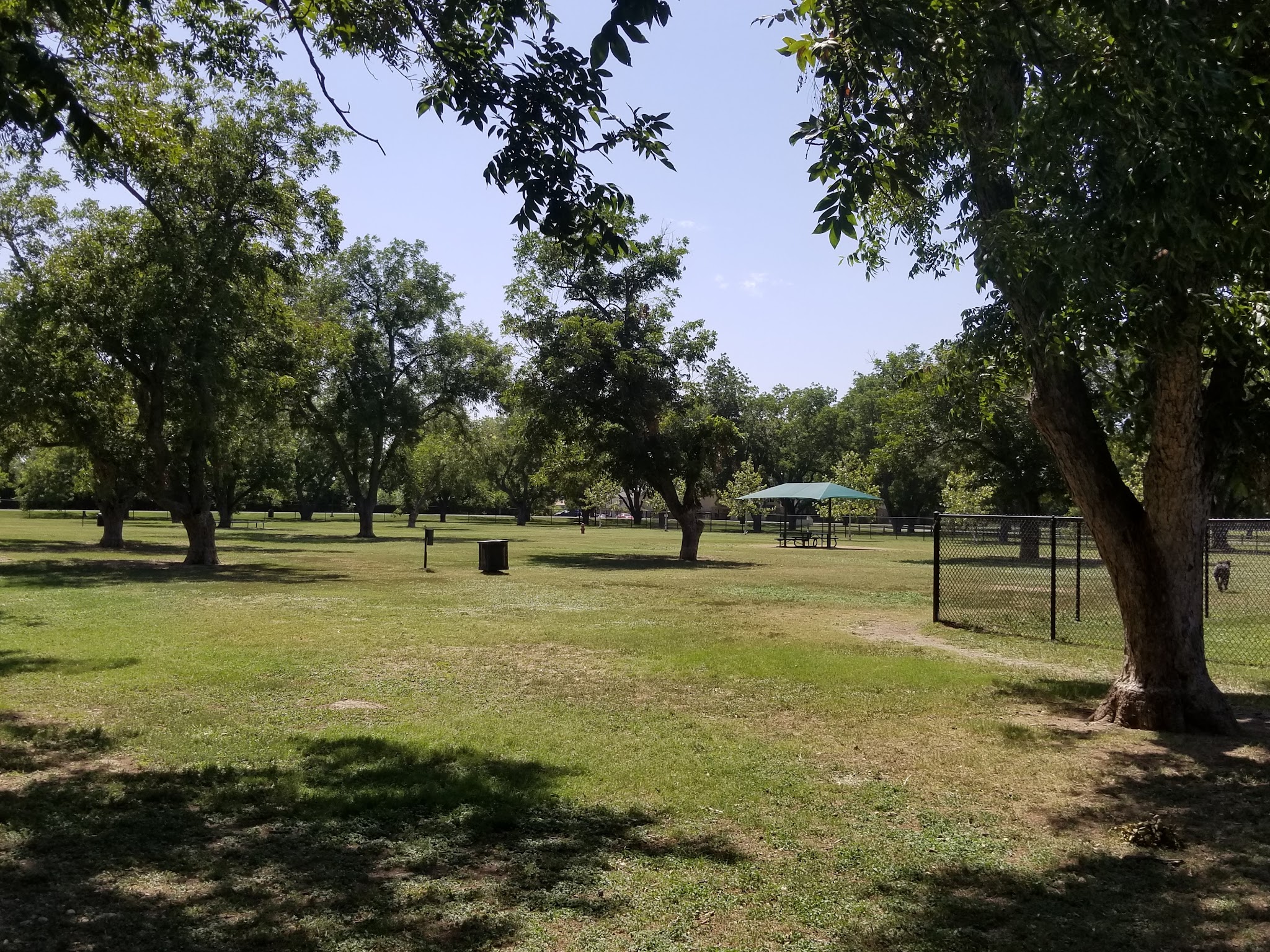 Bark Park - Georgetown, TX