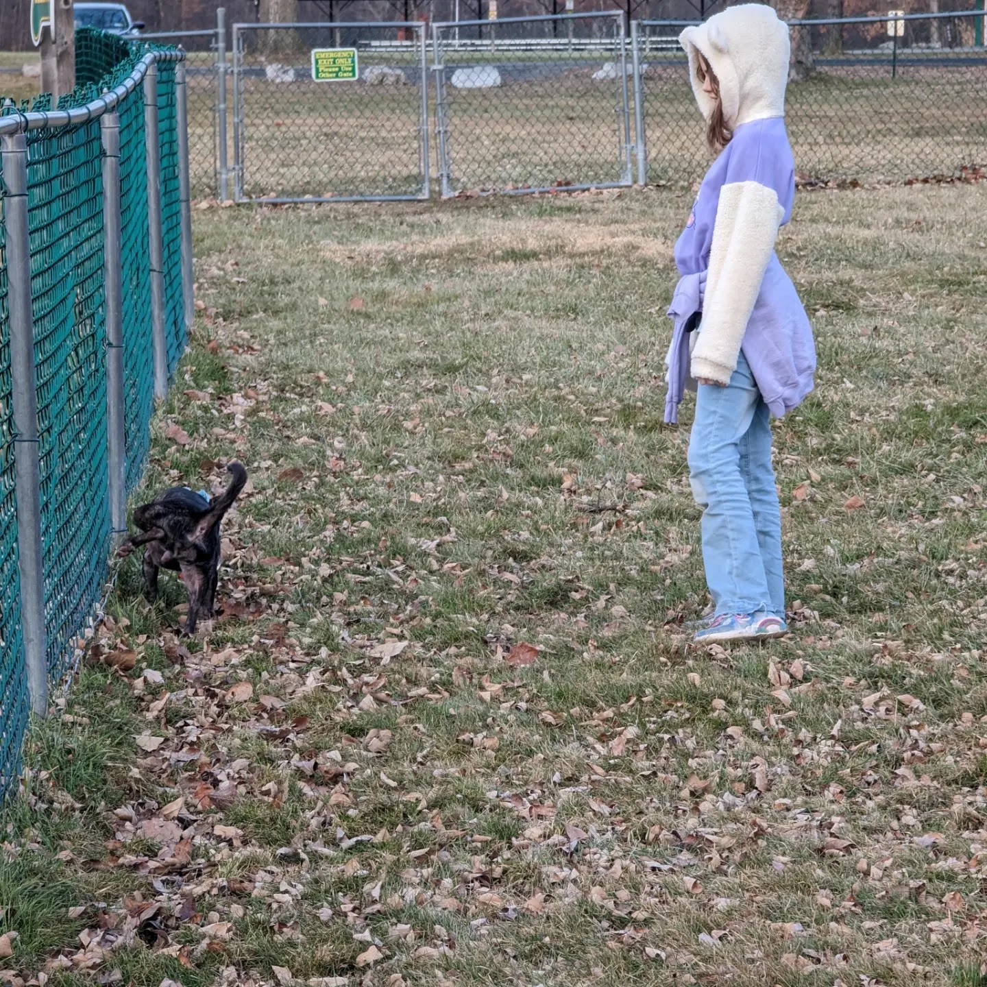 Palatine Bark Dog Park - Germantown, NY