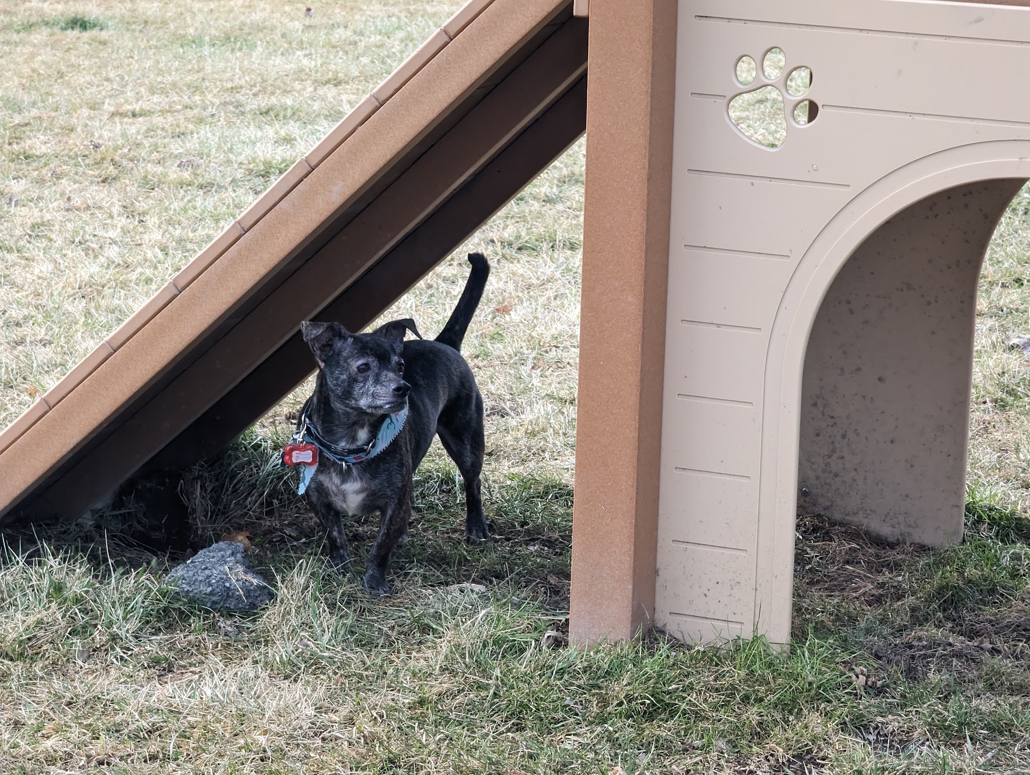 Palatine Bark Dog Park - Germantown, NY