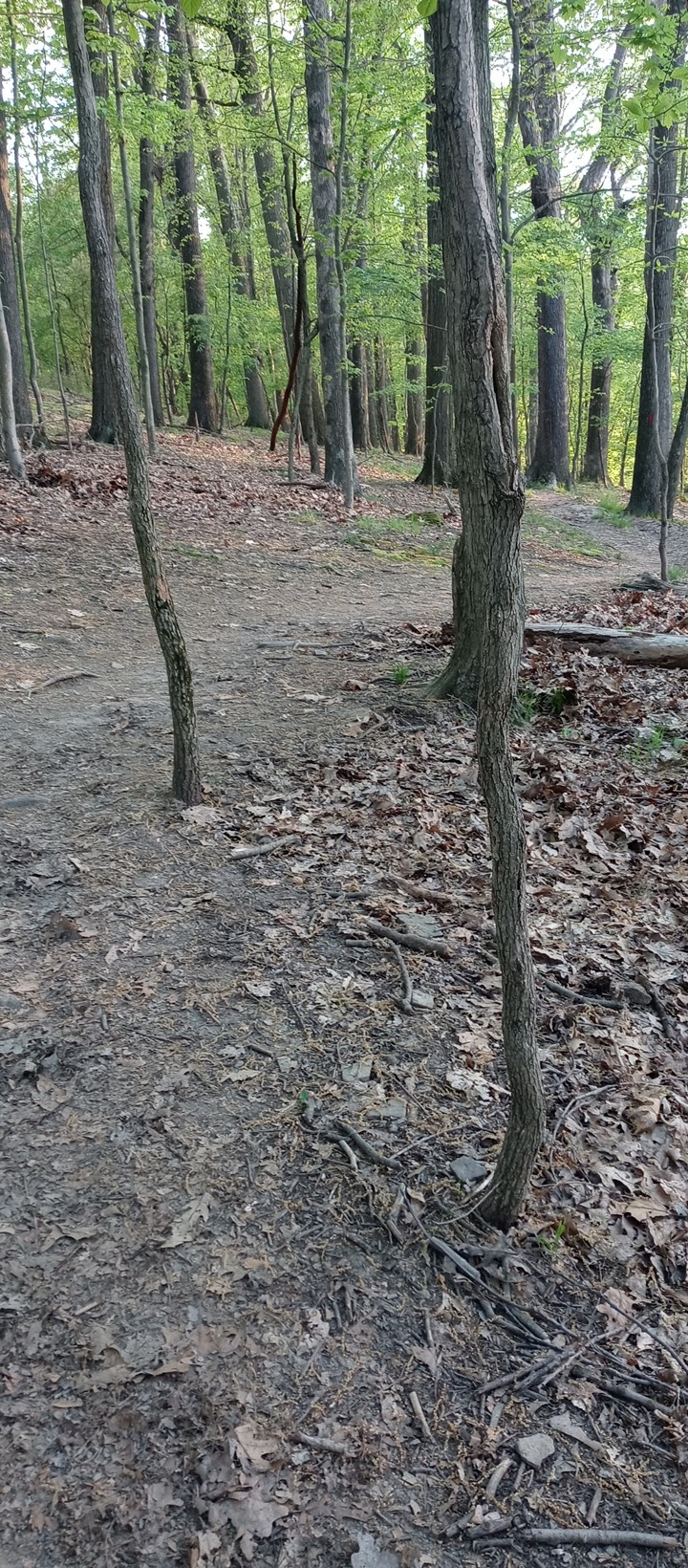 Olympia Shelter - Gibsonia, PA