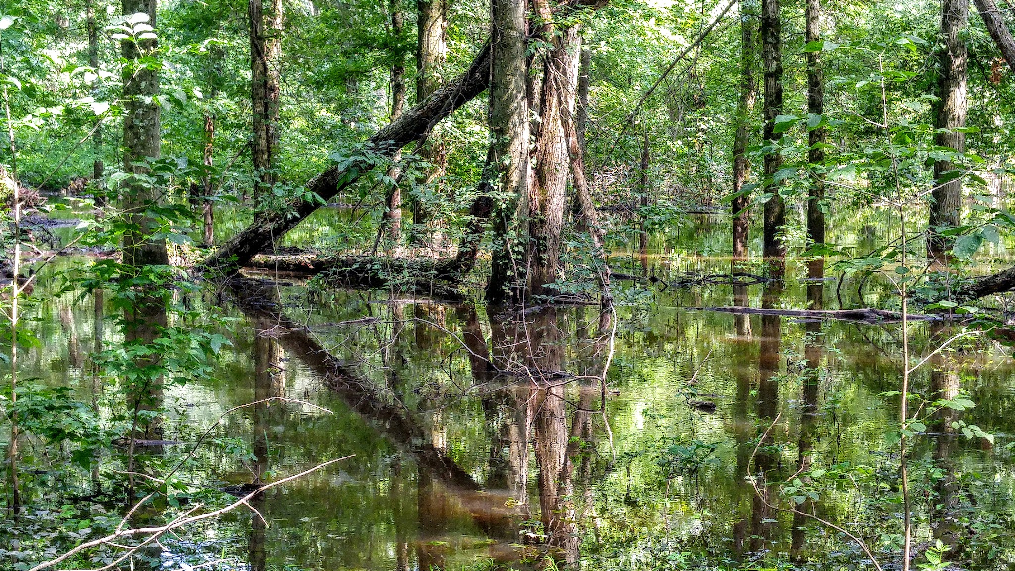 Matthew G. Kantor Memorial Park - Gillette, NJ