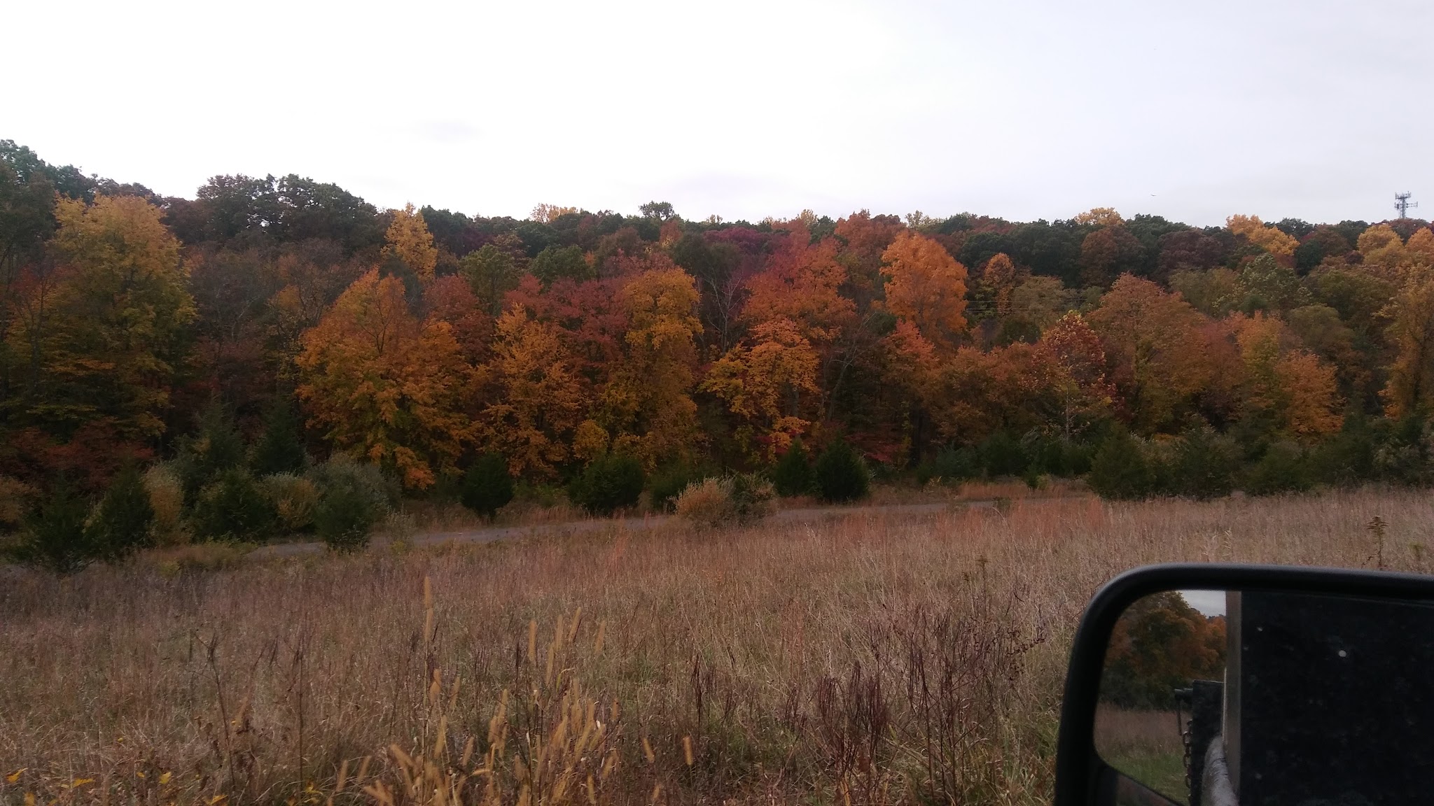 Komline Park - Gladstone, NJ