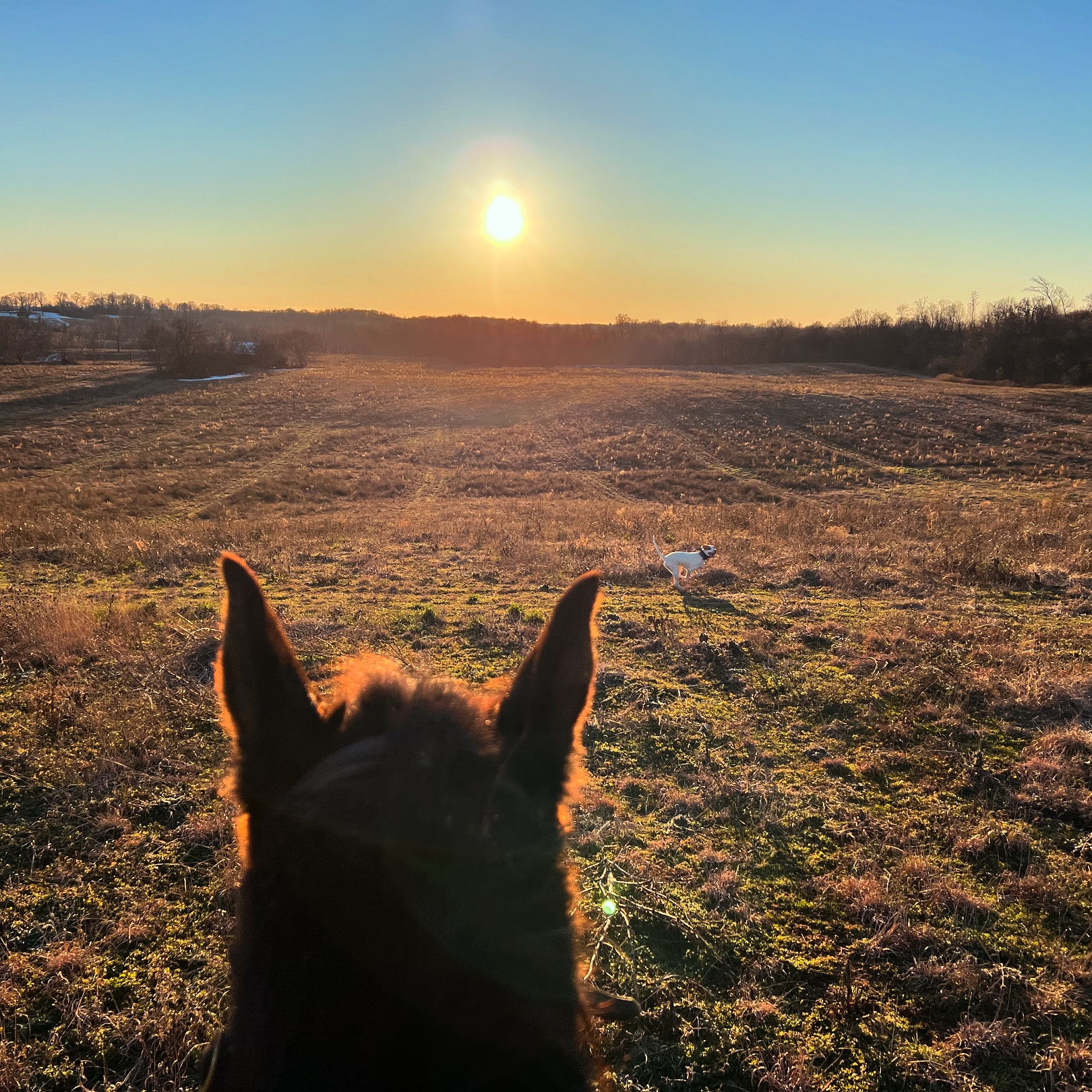Backcountry Shooting Preserve - Glasgow, KY