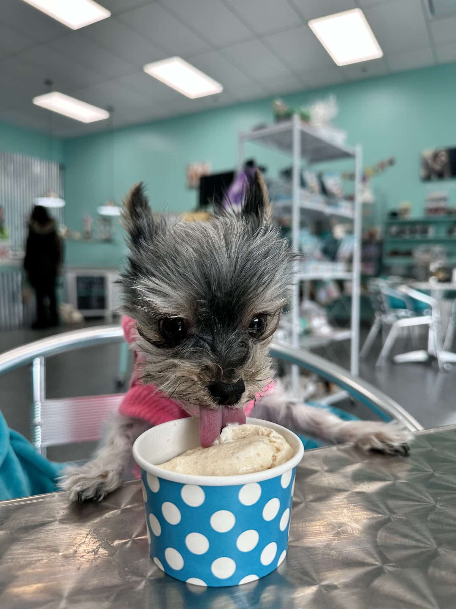 Salty Paws Rva - Glen Allen, VA