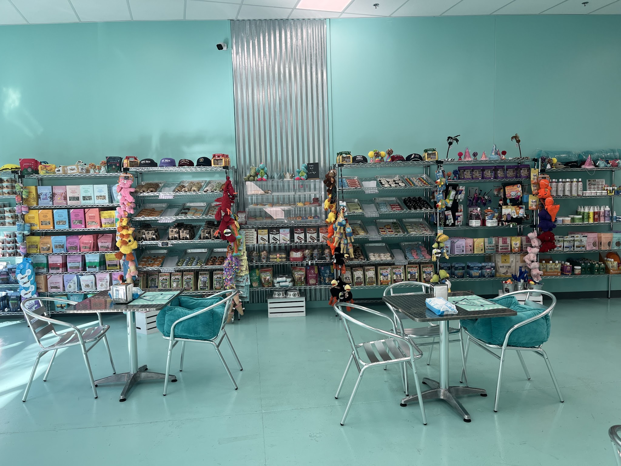 Salty Paws Rva - Glen Allen, VA