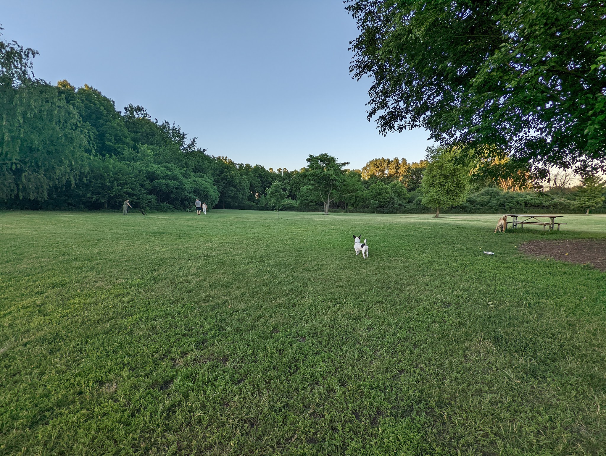 Spring Avenue Dog Park - Glen Ellyn, IL