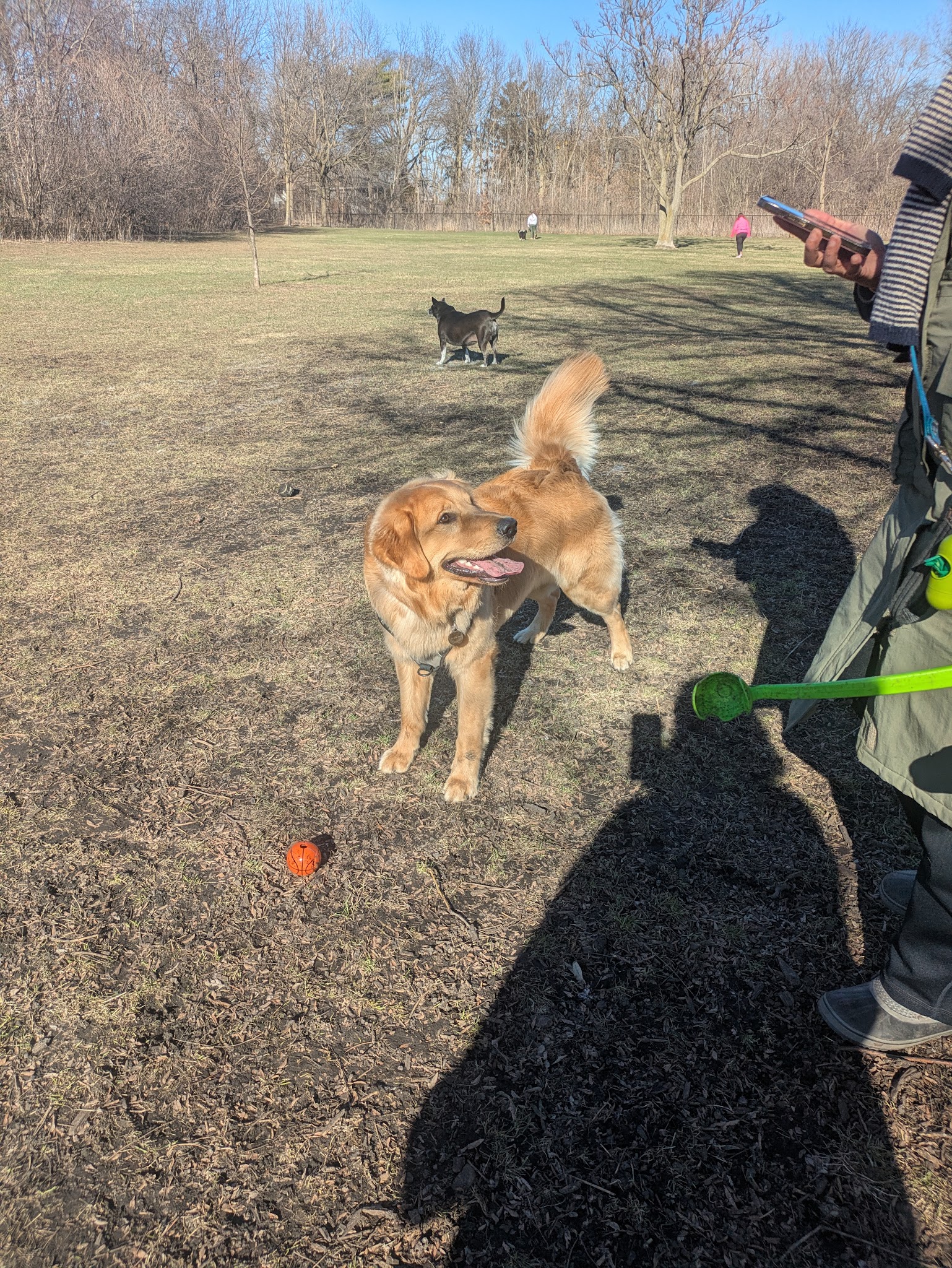 Spring Avenue Dog Park - Glen Ellyn, IL