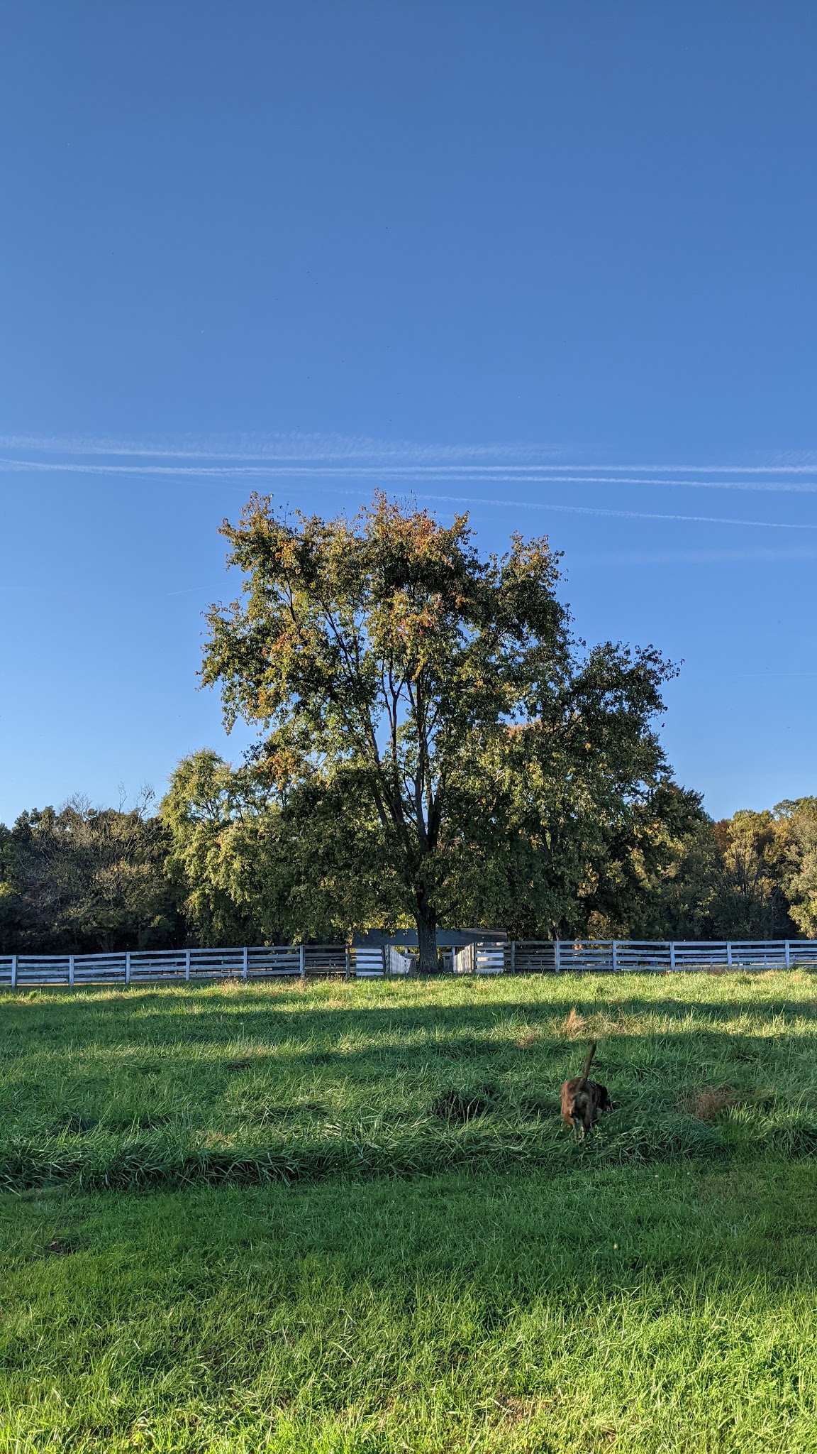 Bush Hill Farm - Glen Mills, PA