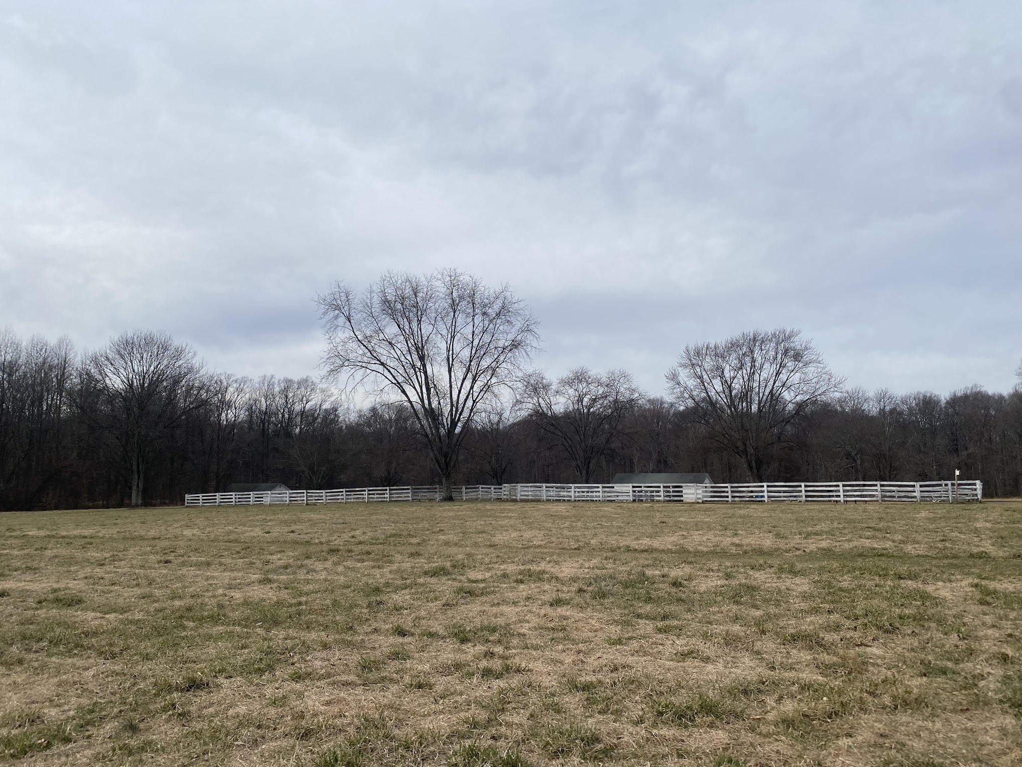 Bush Hill Farm - Glen Mills, PA