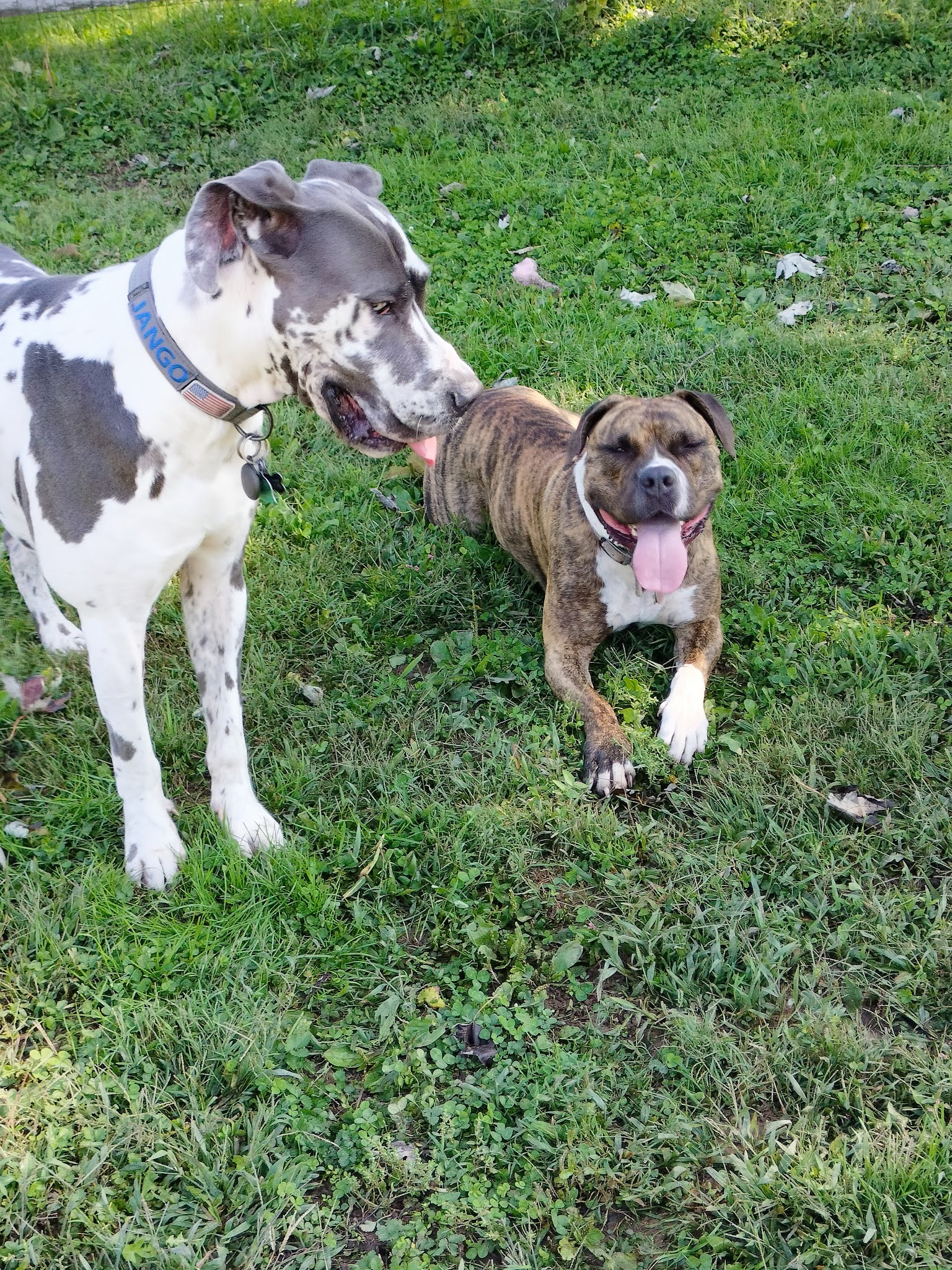 Bush Hill Farm - Glen Mills, PA