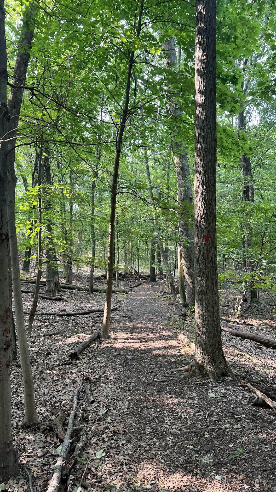 Diamond Brook Park - Glen Rock, NJ