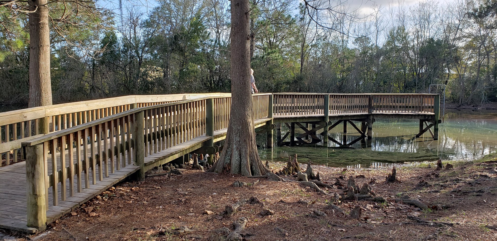 Veterans Memorial Park - Glen St Mary, FL